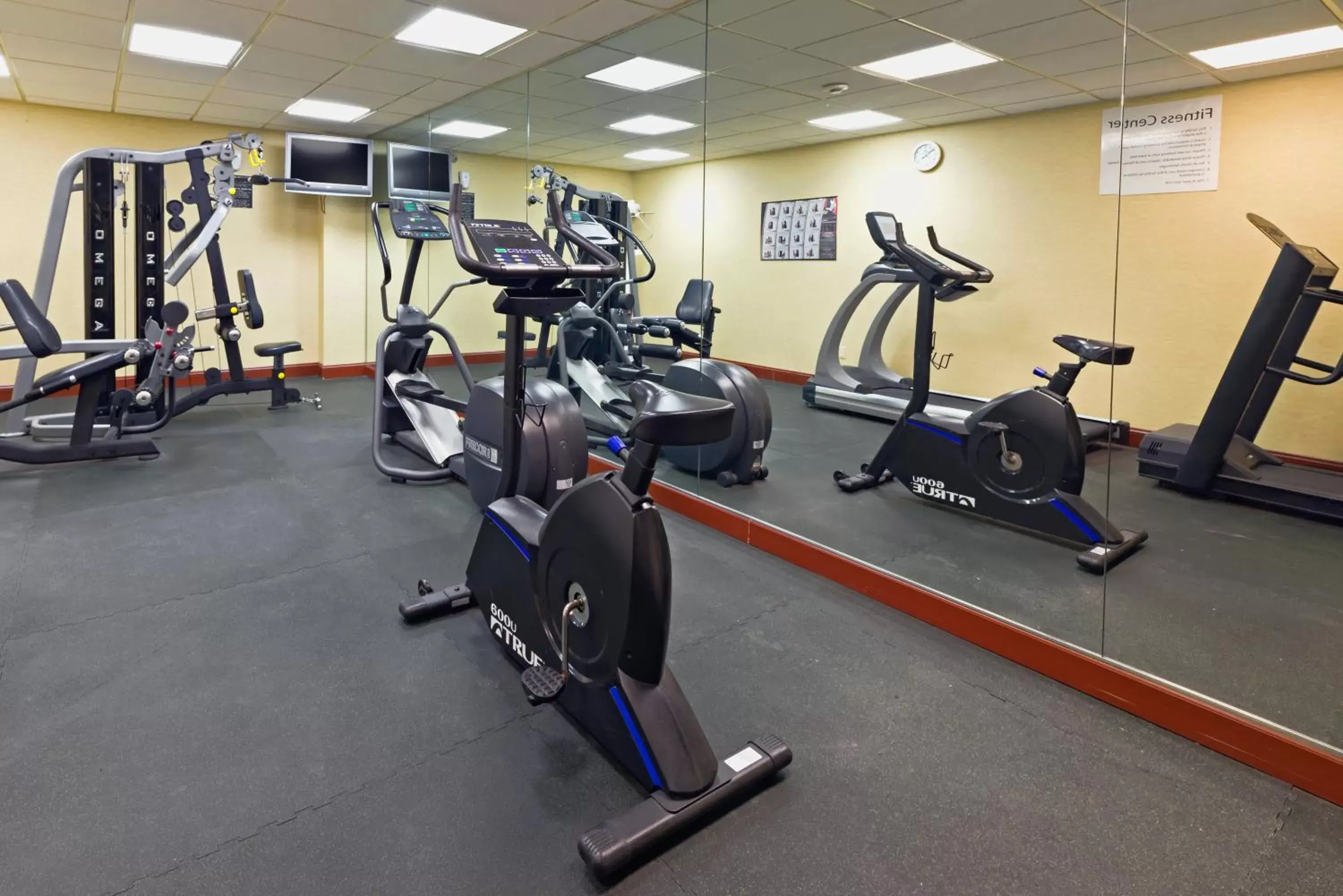 Fitness centre/facilities, Fitness Center/Facilities in Wyndham Garden Totowa