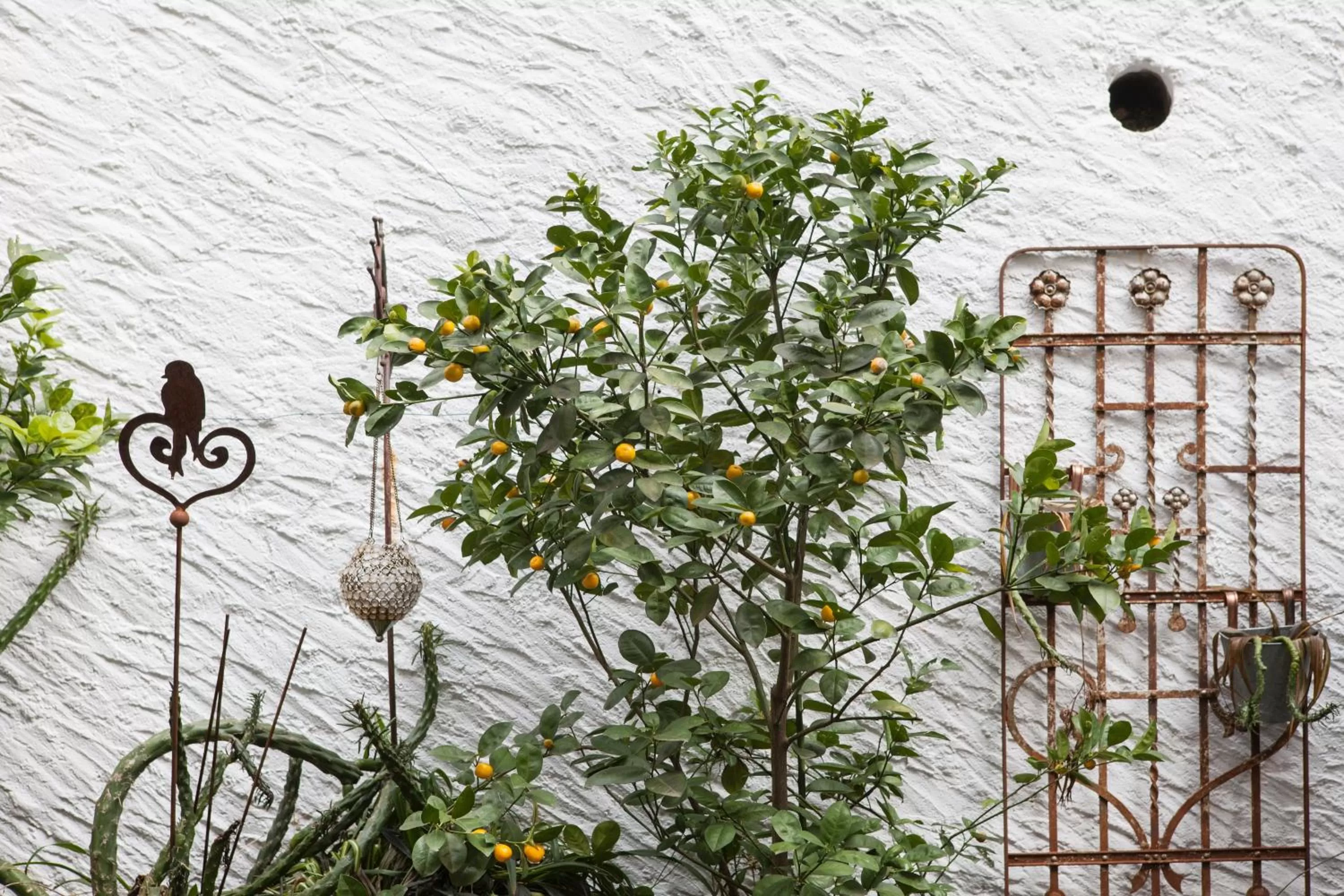 Patio in Caffè dell'Arte Boutique Rooms Locarno