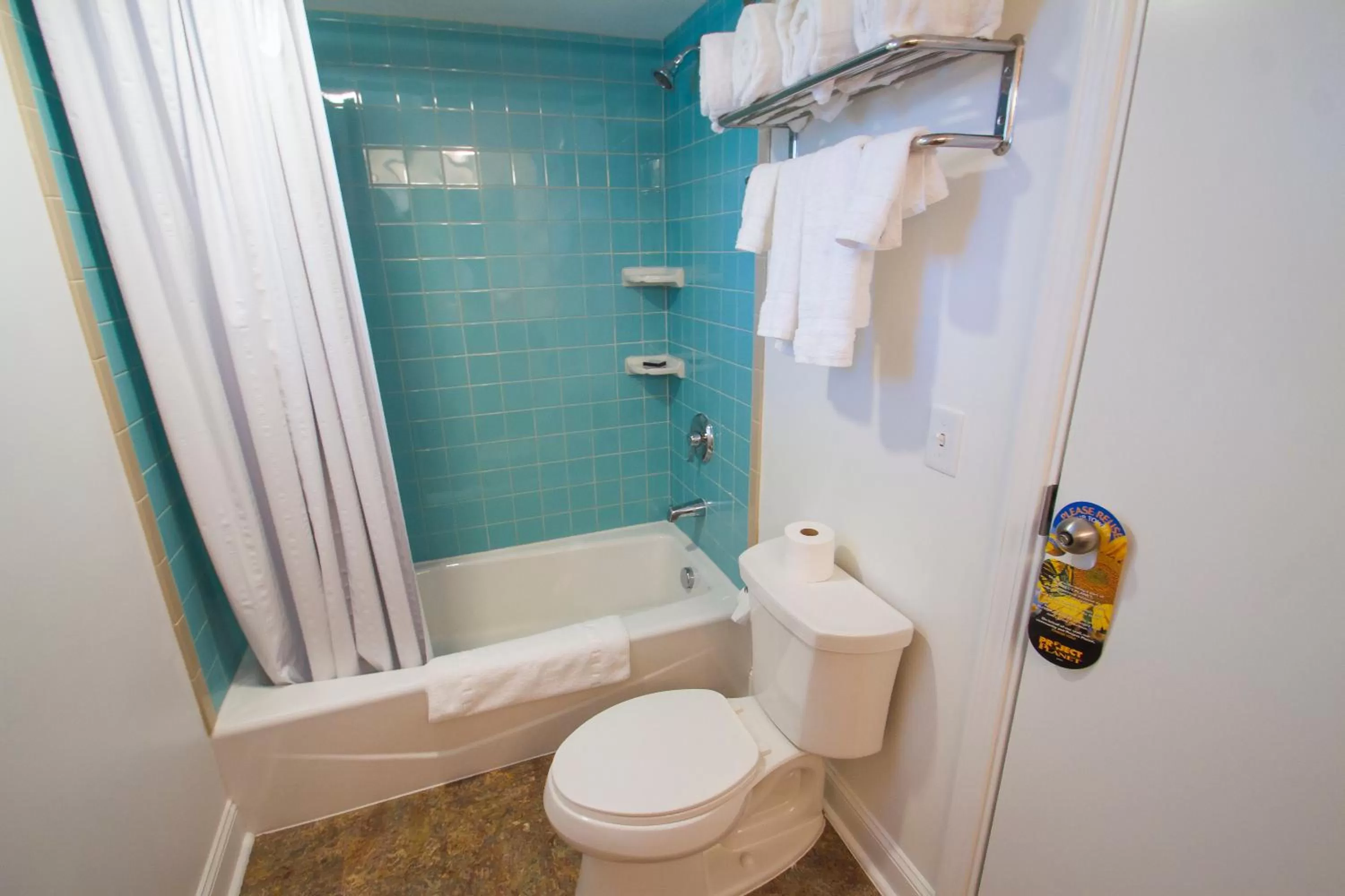 Bathroom in Mother Earth Motor Lodge