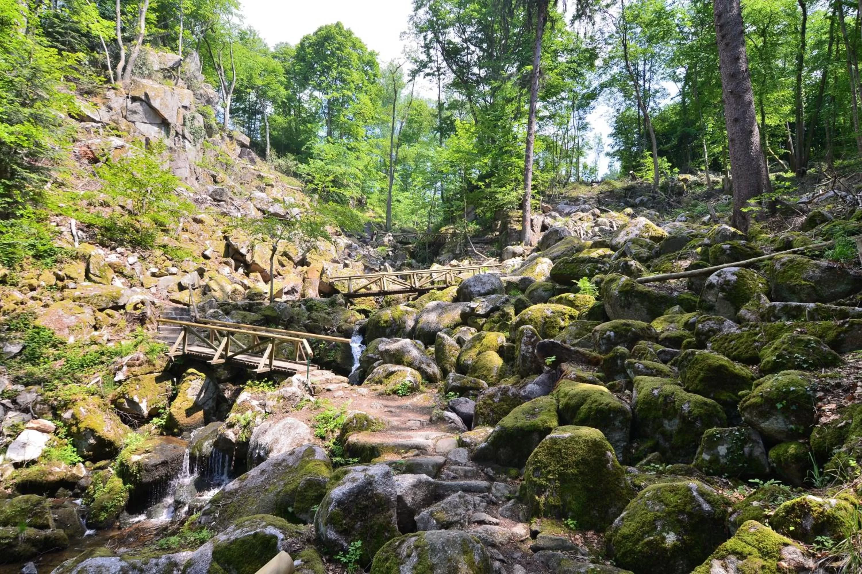 Hiking in RelaxHotel Tannenhof