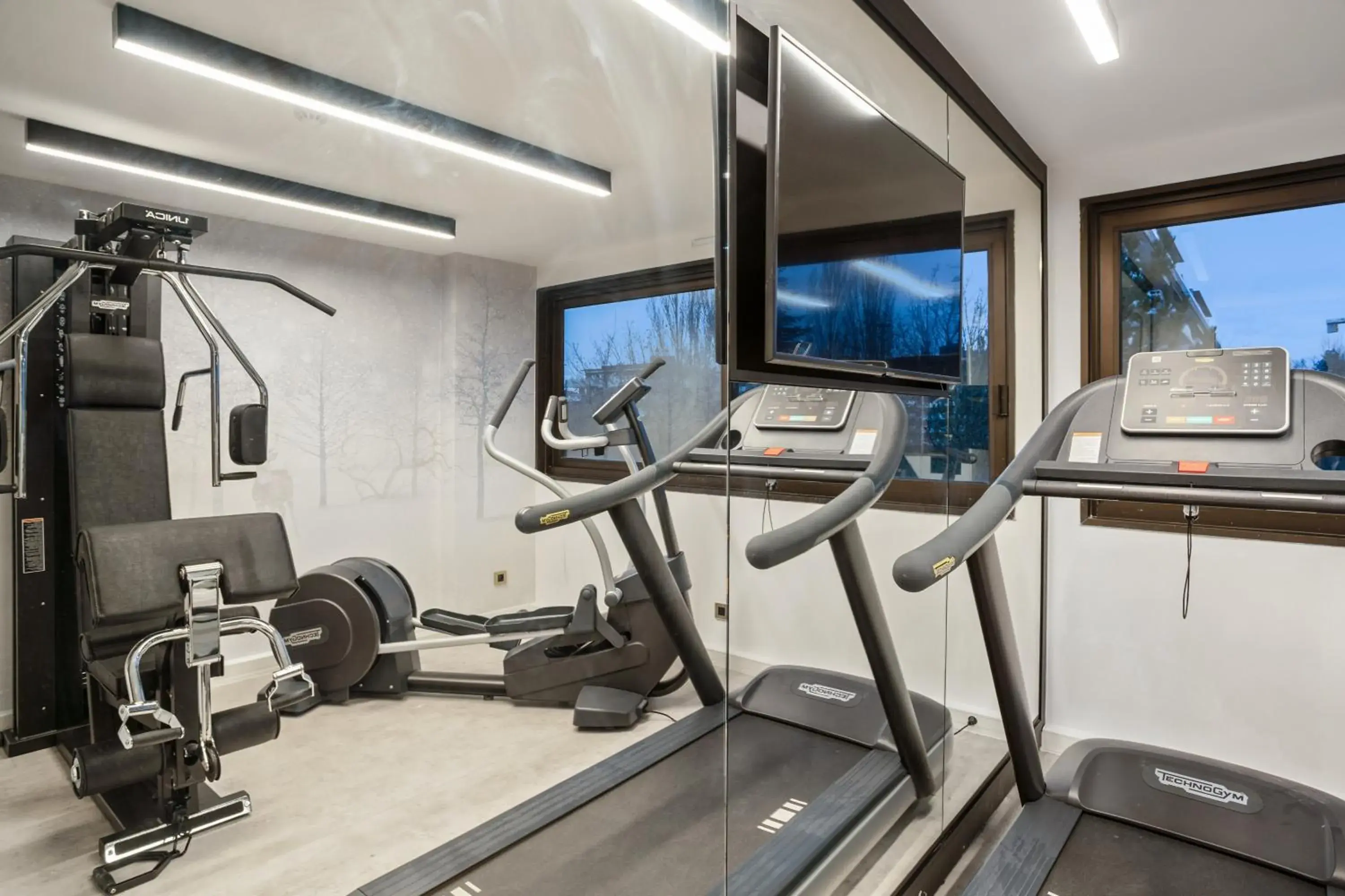 Fitness centre/facilities, Fitness Center/Facilities in Park & Suites Elégance Genève-Ferney Voltaire