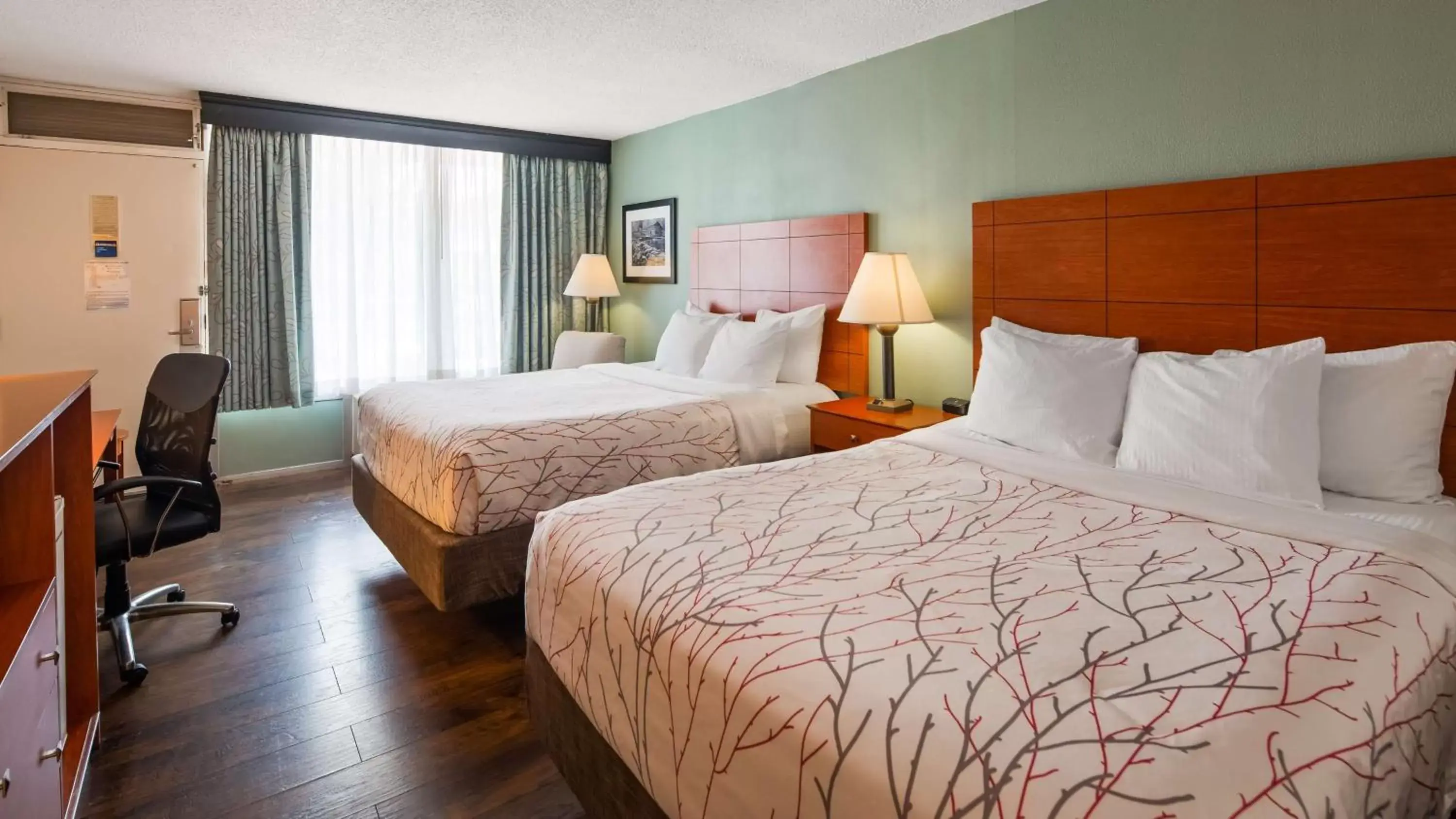 Photo of the whole room, Bed in Best Western Fredericksburg Photo of the whole room, Bed in Best Western Fredericksburg