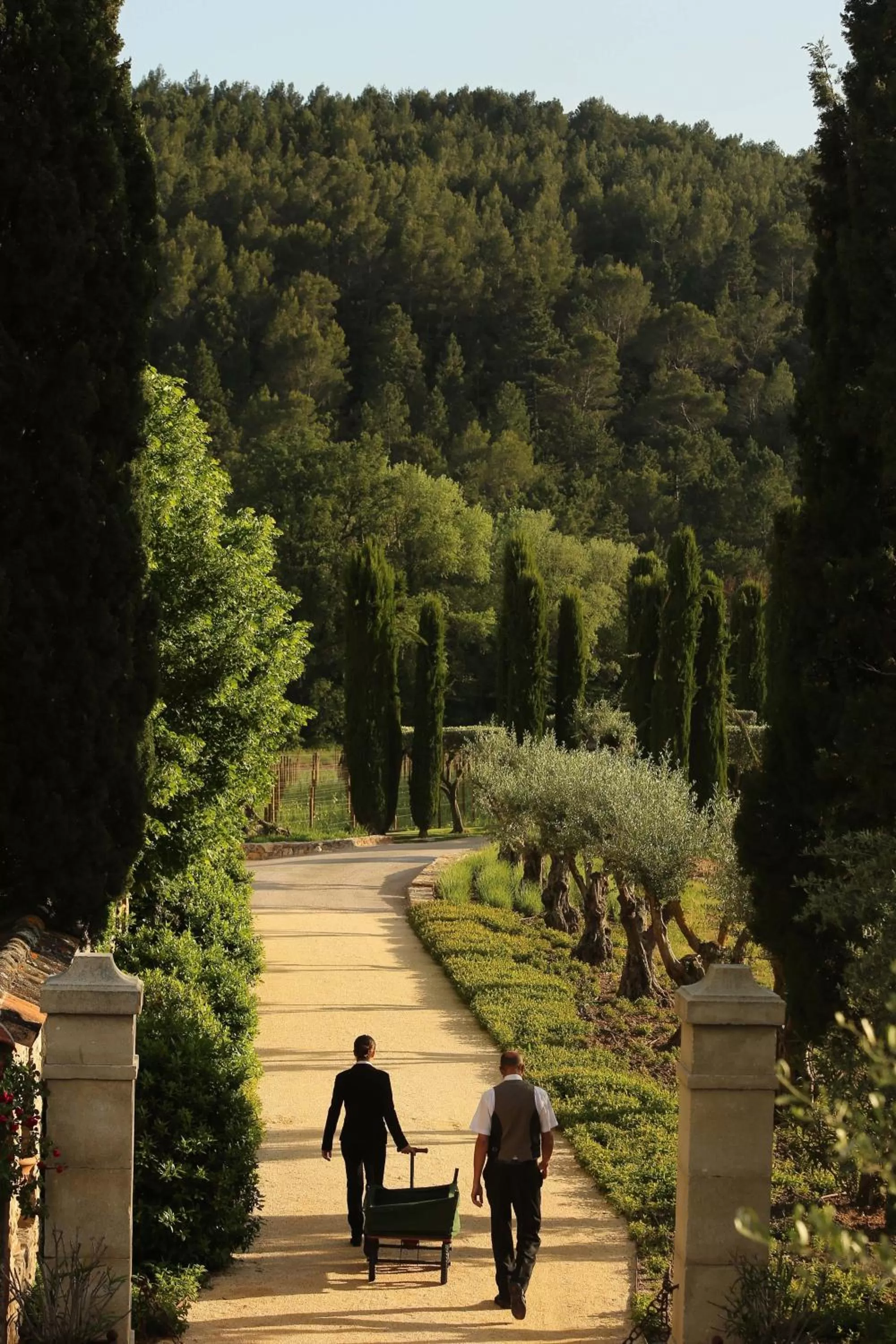Natural landscape in Château de Berne