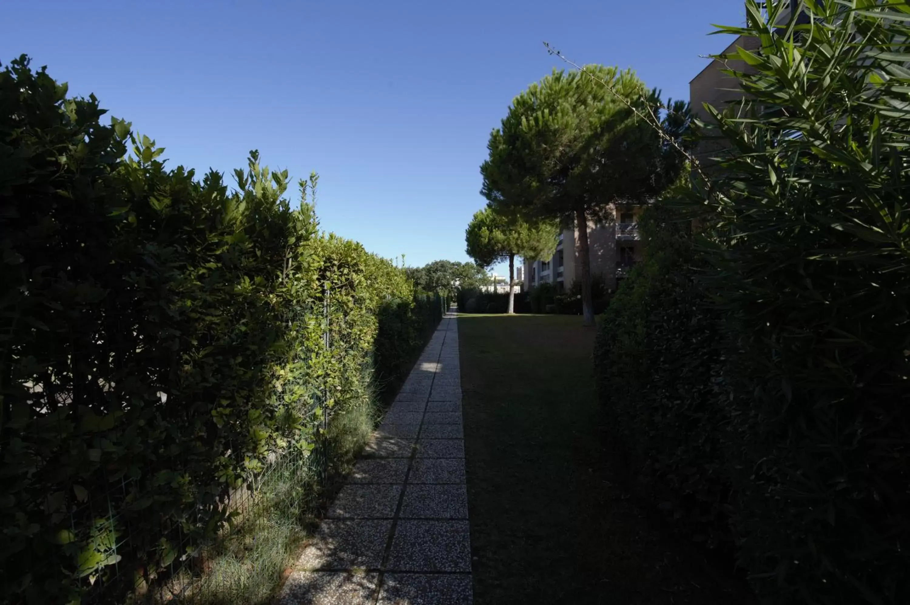 Garden in Le Residenze di Santa Costanza - Mirto/Corbezzolo