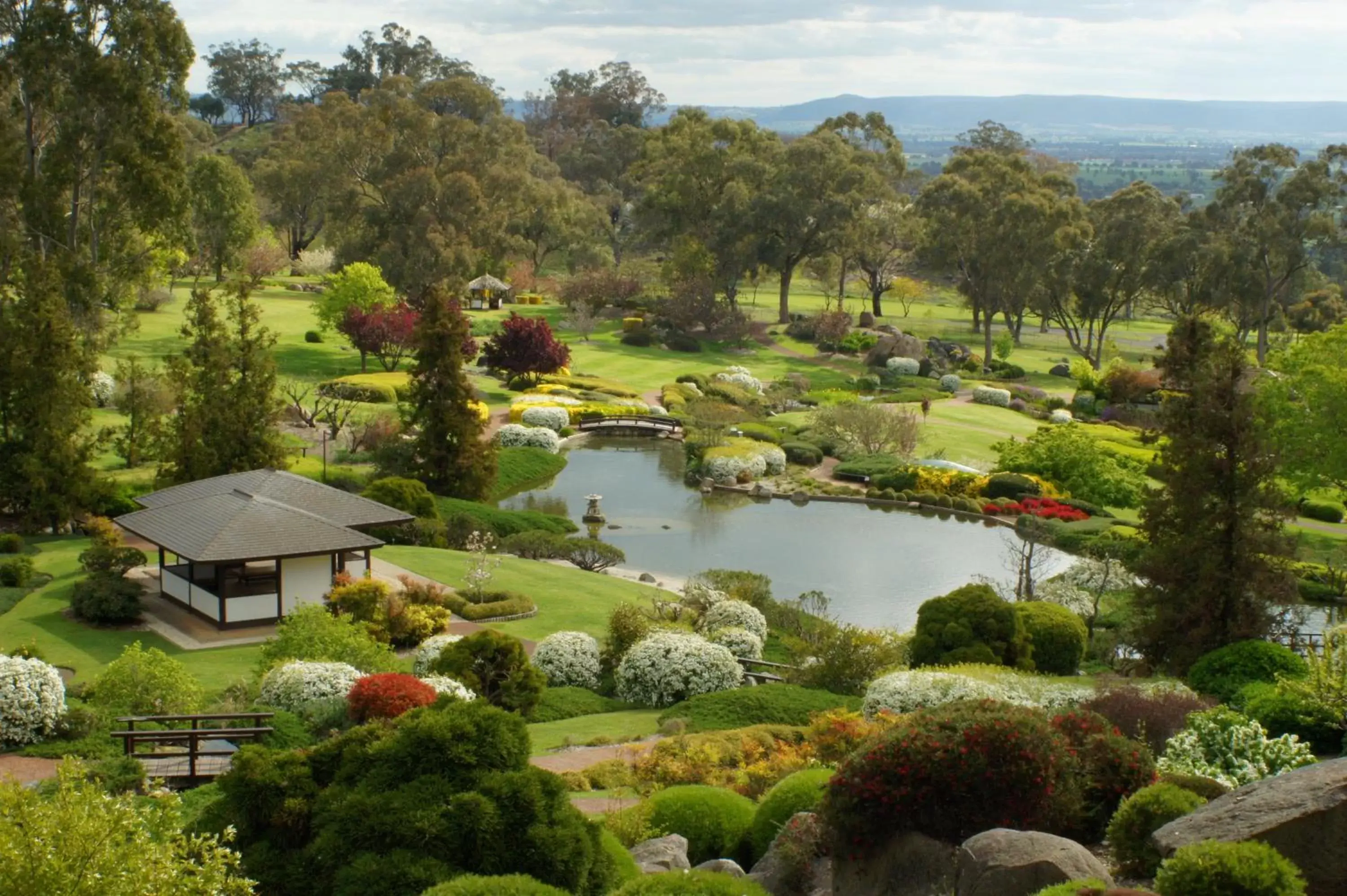 Garden, Bird's-eye View in Townhouse Motel Cowra