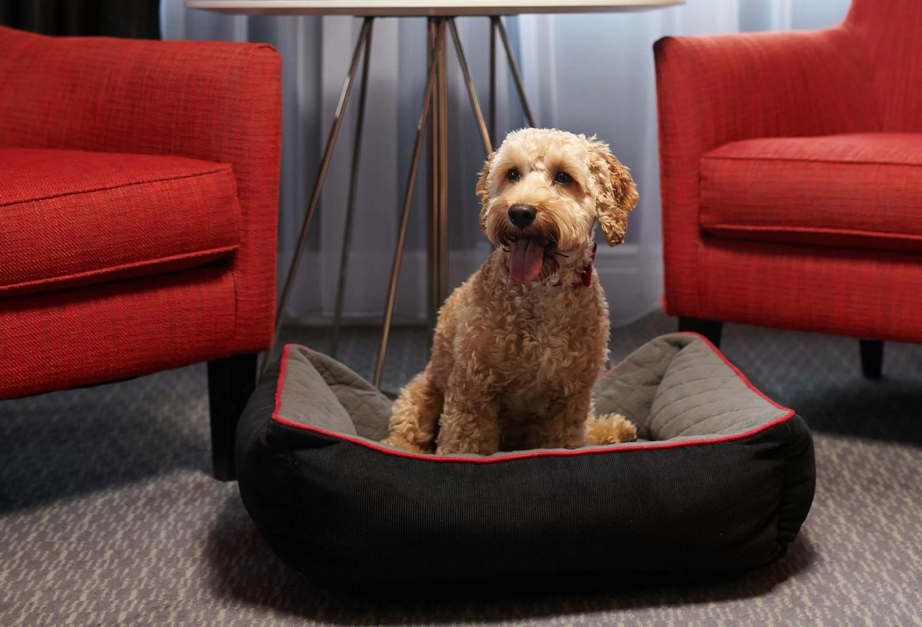 Lounge or bar in The Dilly