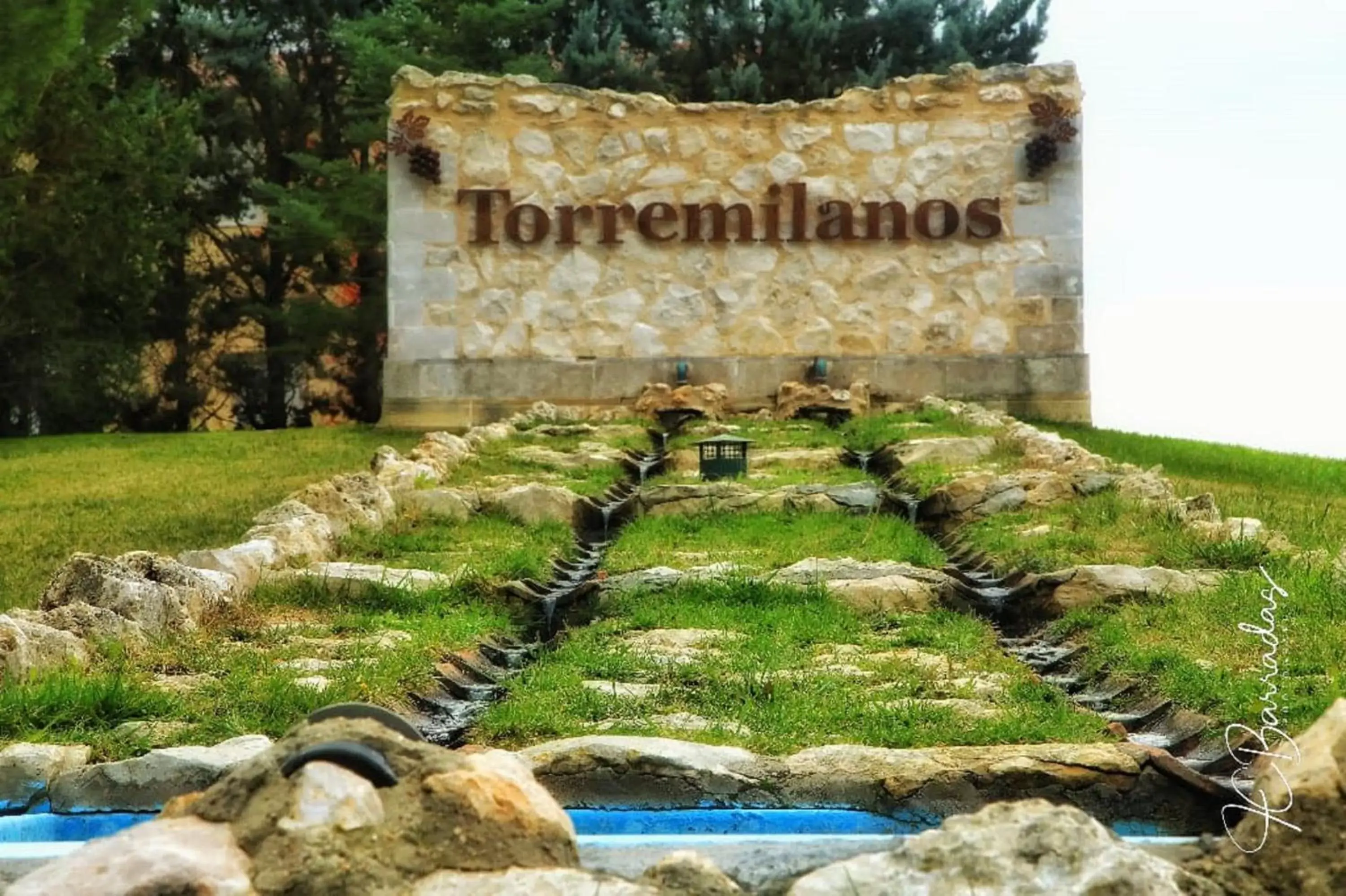 Natural landscape, Pool View in Hotel Torremilanos