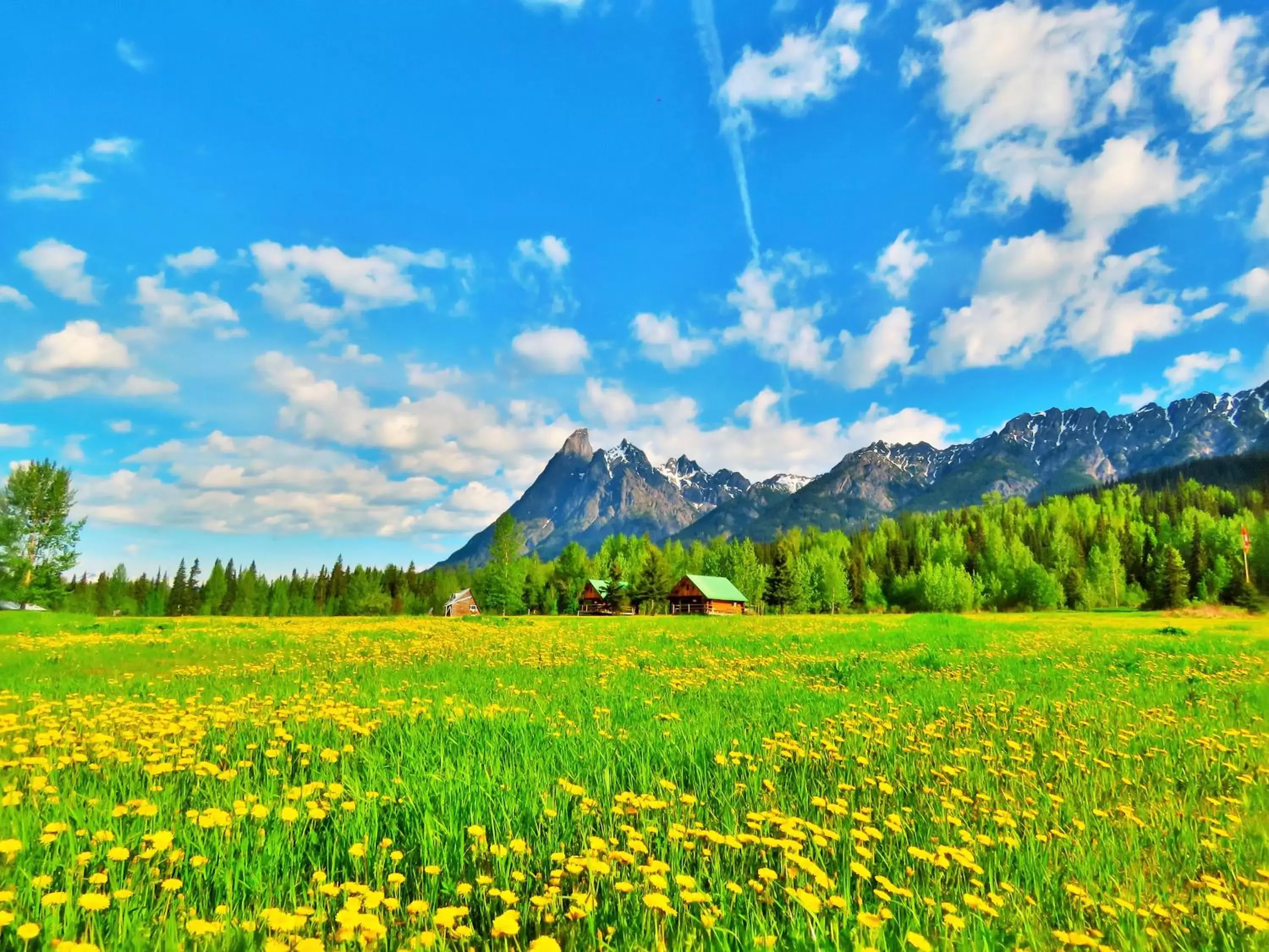 Garden, Natural Landscape in Rocky Ridge Resort-BC