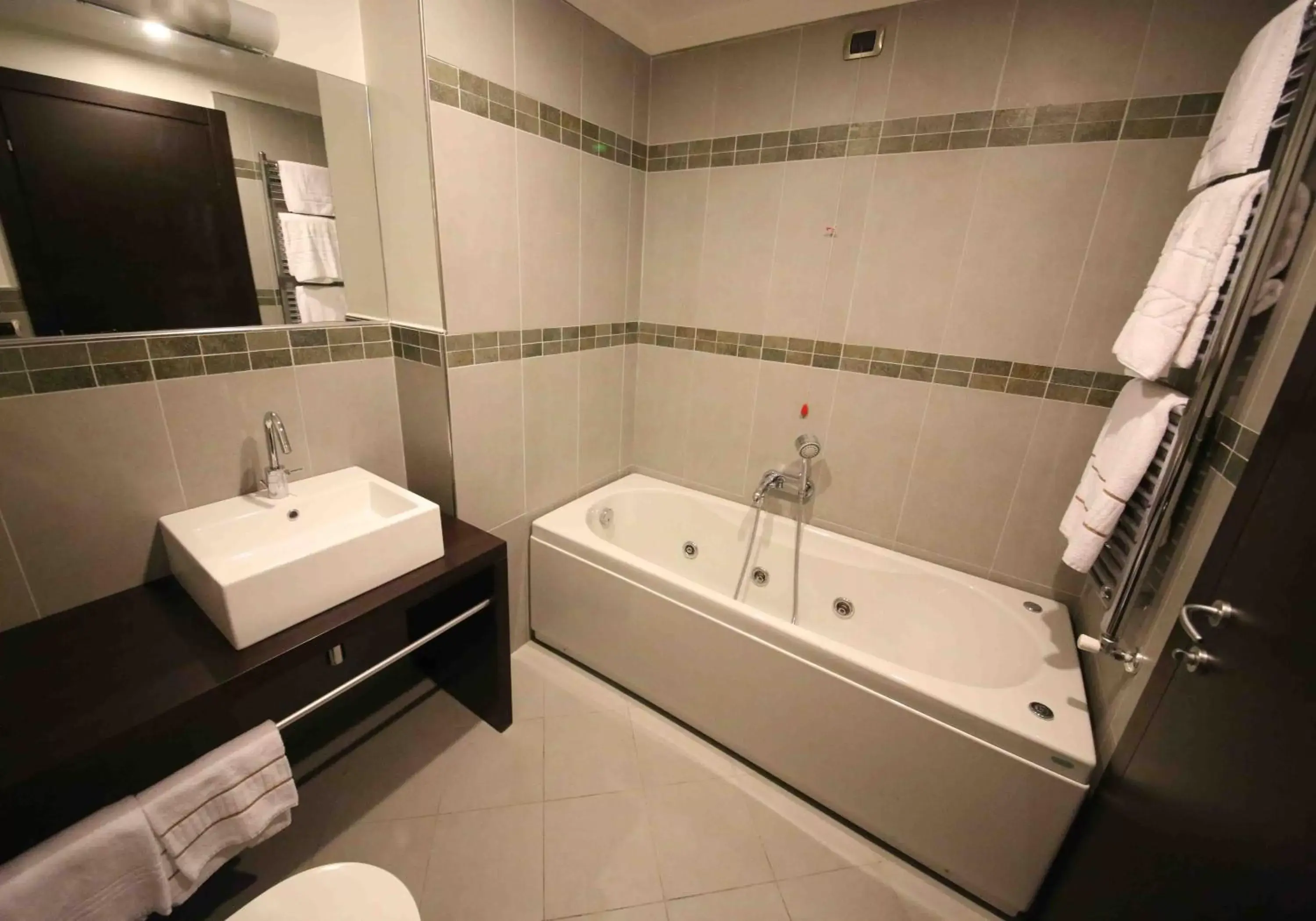 Bathroom in Vercelli Palace Hotel