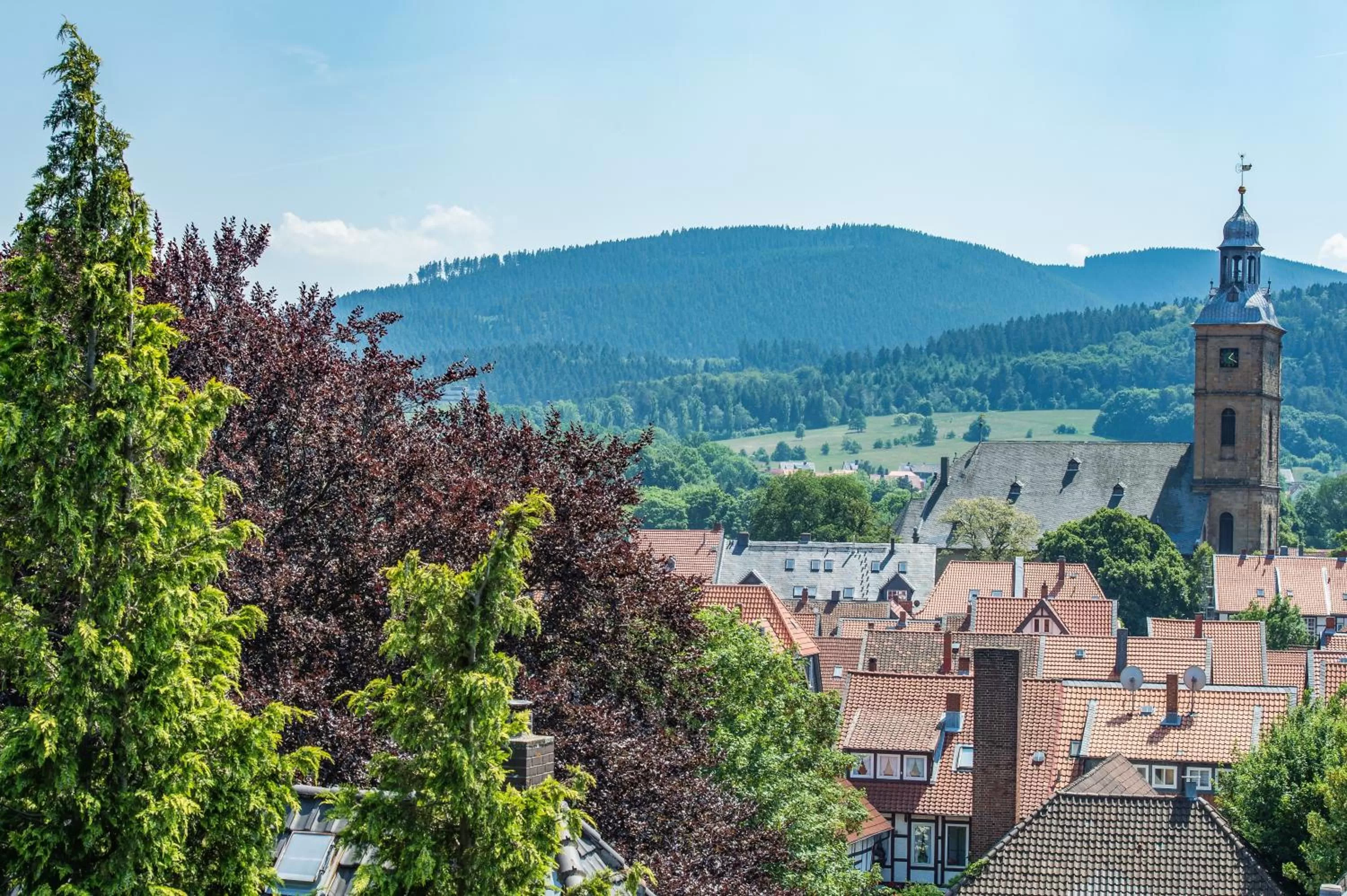 City view in AKZENT Hotel Villa Saxer
