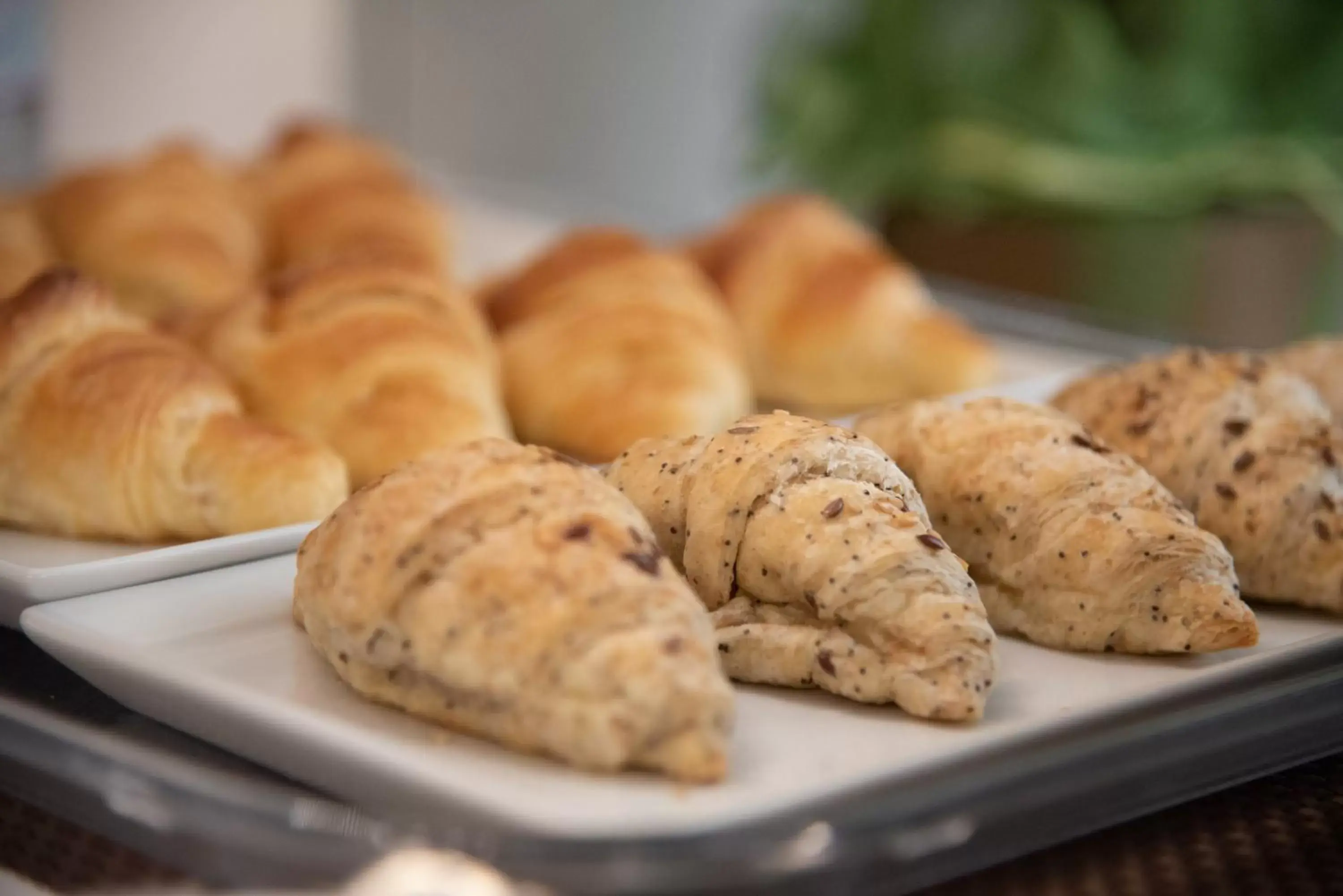 Continental breakfast, Food in Casa Ercoli B&B