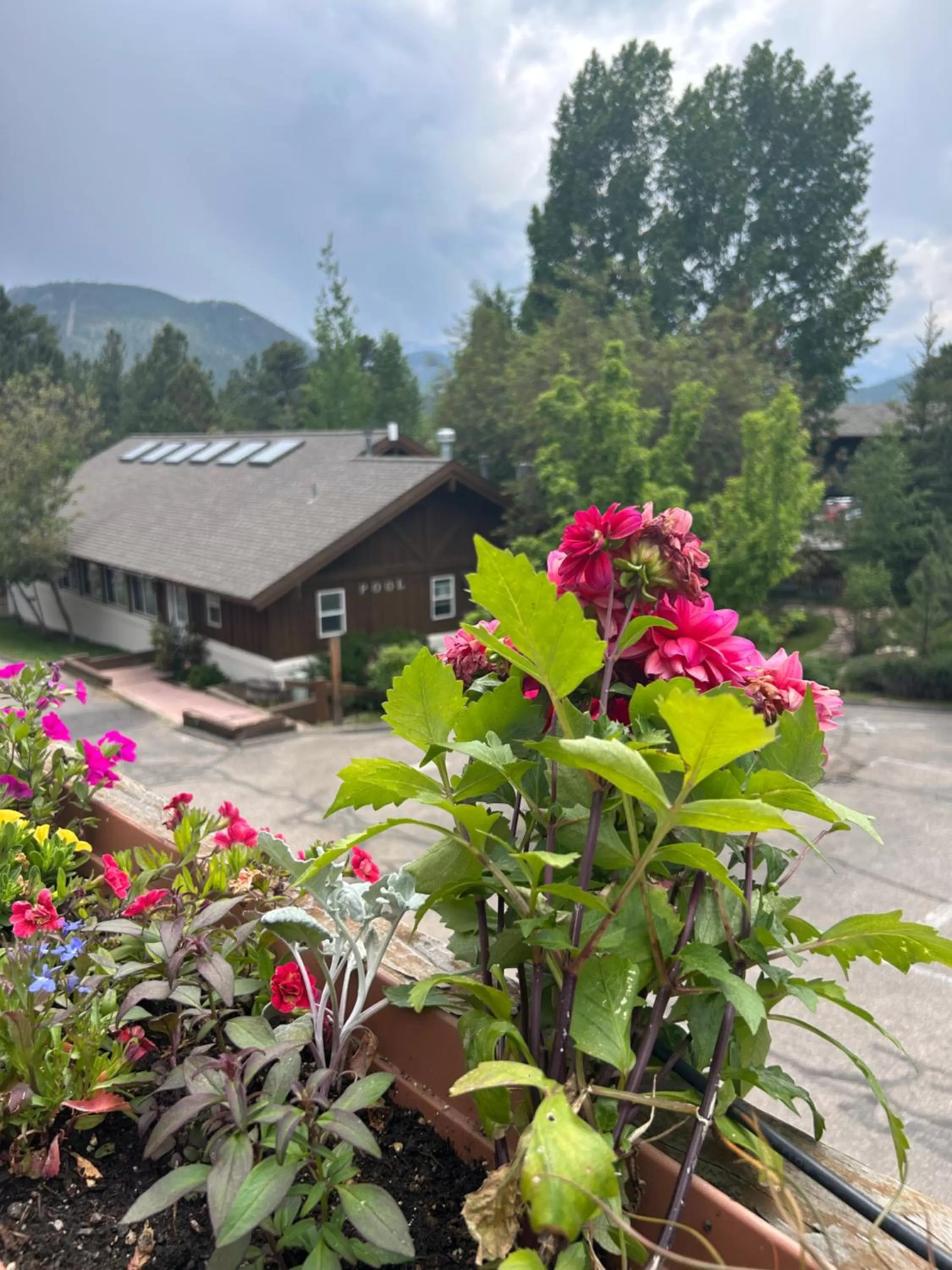 Property building in Appenzell Inn