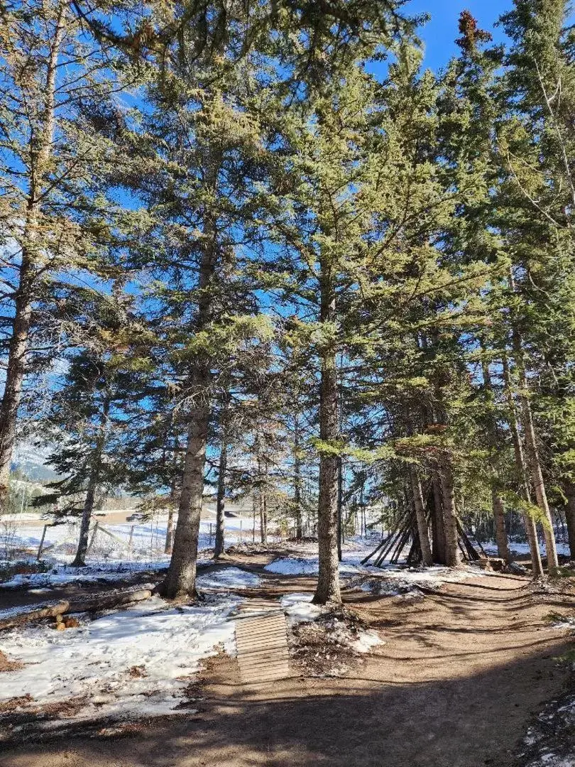 Cycling in Sunset Mountain Inn