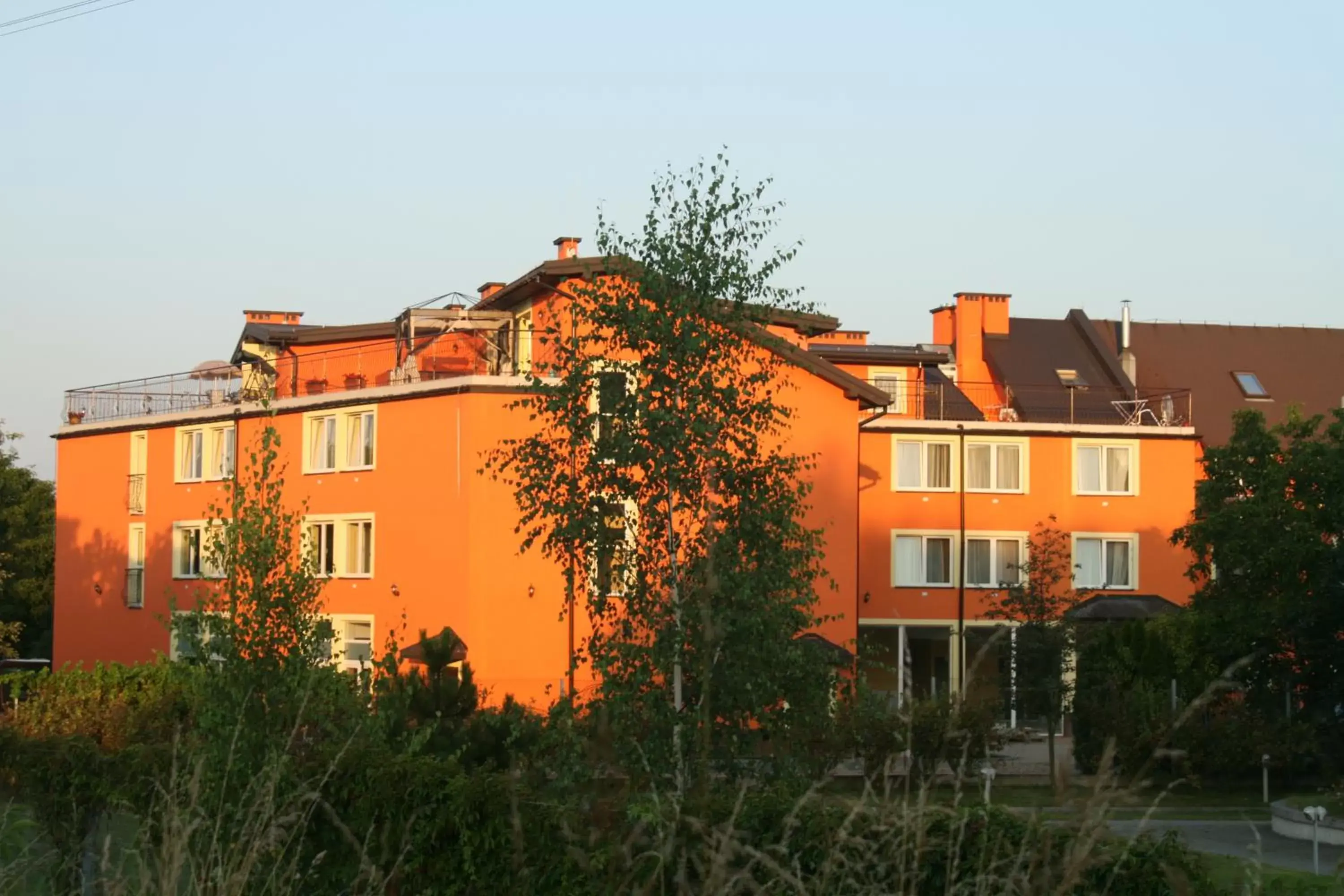 Facade/entrance in Hotel Daisy Budget Facade/entrance in Hotel Daisy Budget
