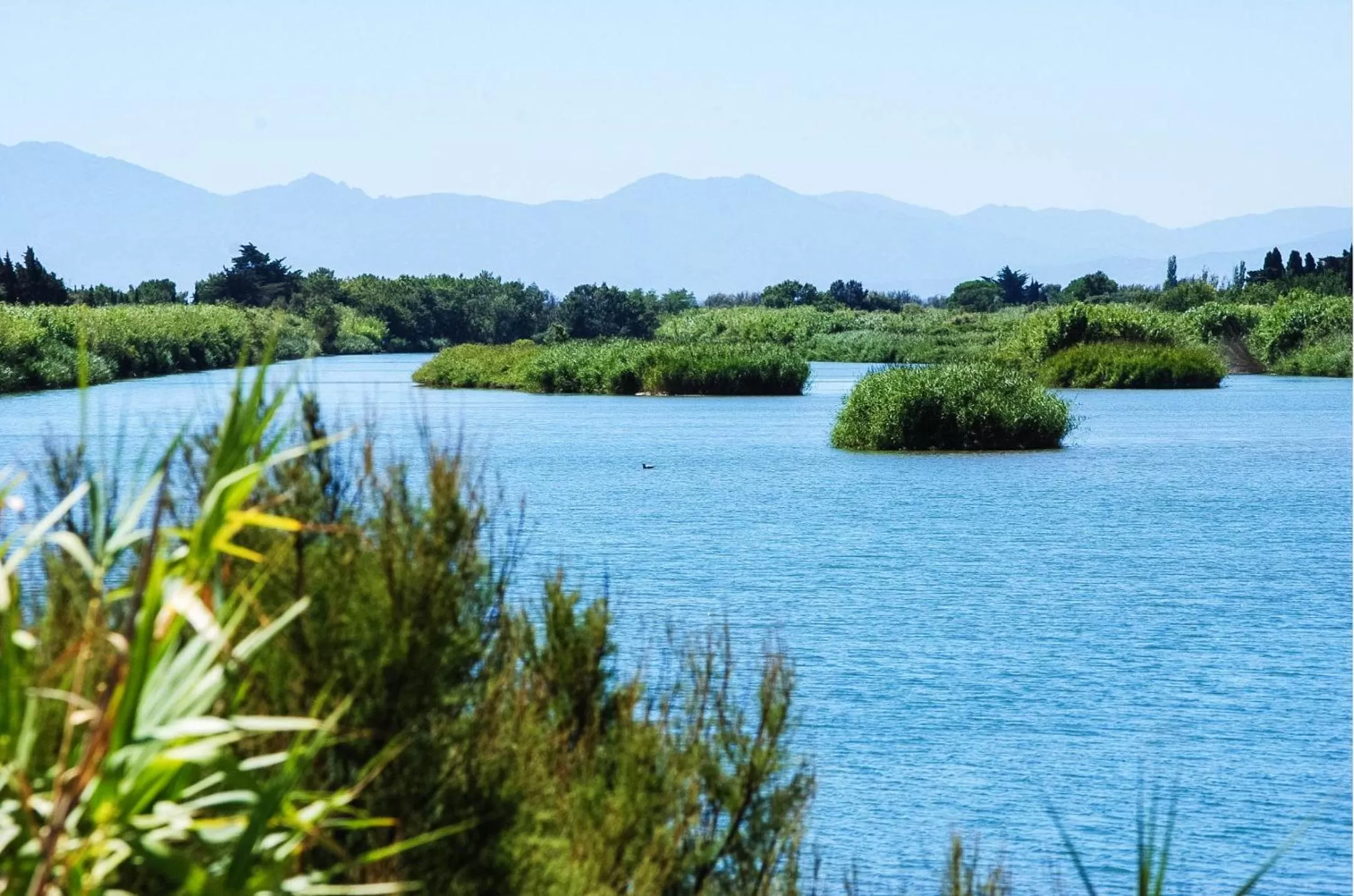Natural landscape in ibis Styles Perpignan Canet En Roussillon