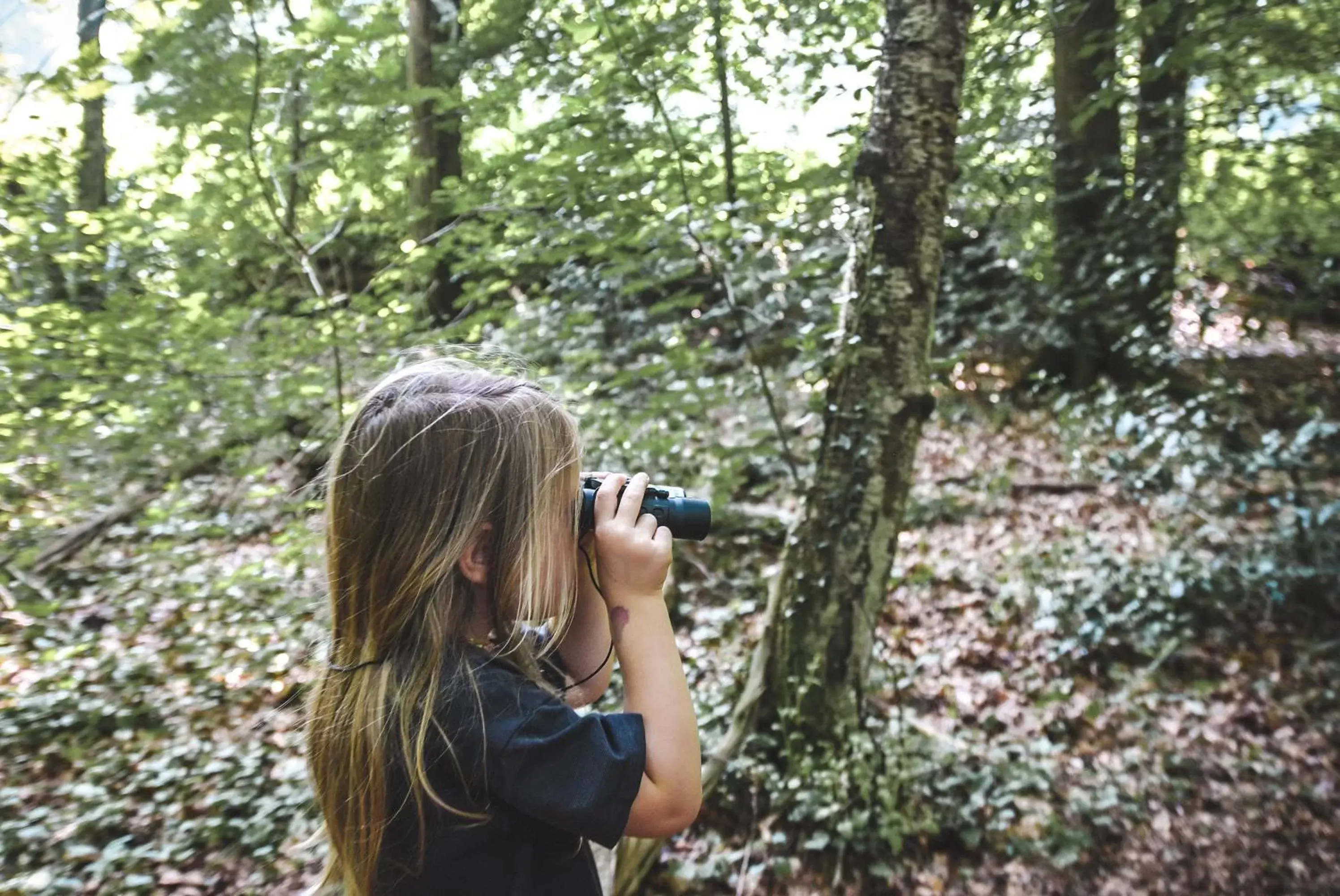 Natural landscape, Guests in Witte Berken Natuurhotel