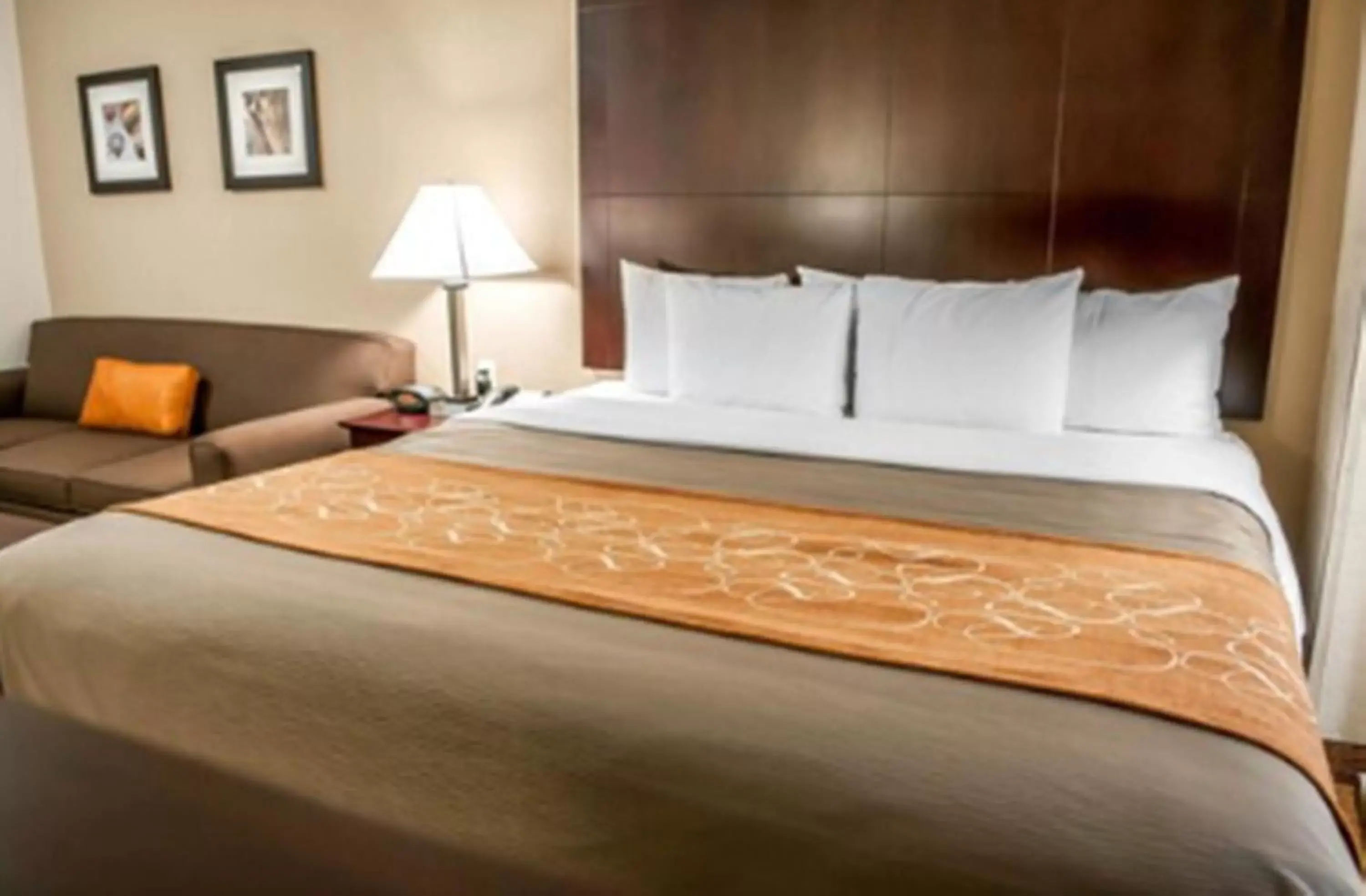Bed in Comfort Suites Albuquerque