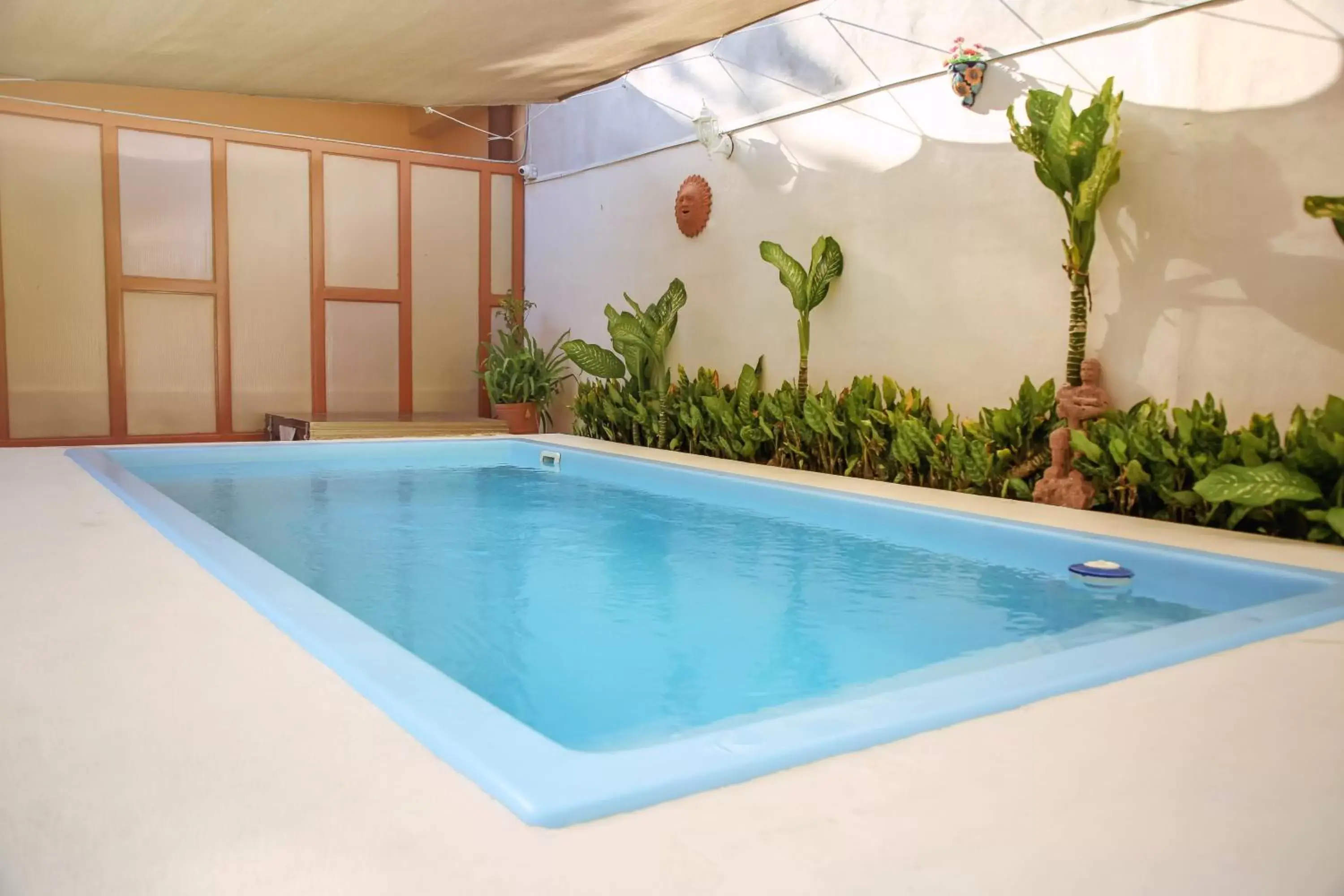 Swimming Pool in Casa Saab