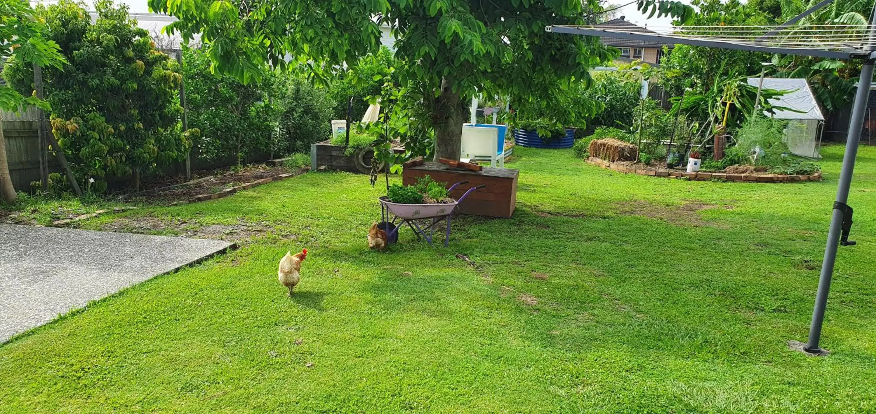 Garden in Sustainable B&B by the Bay