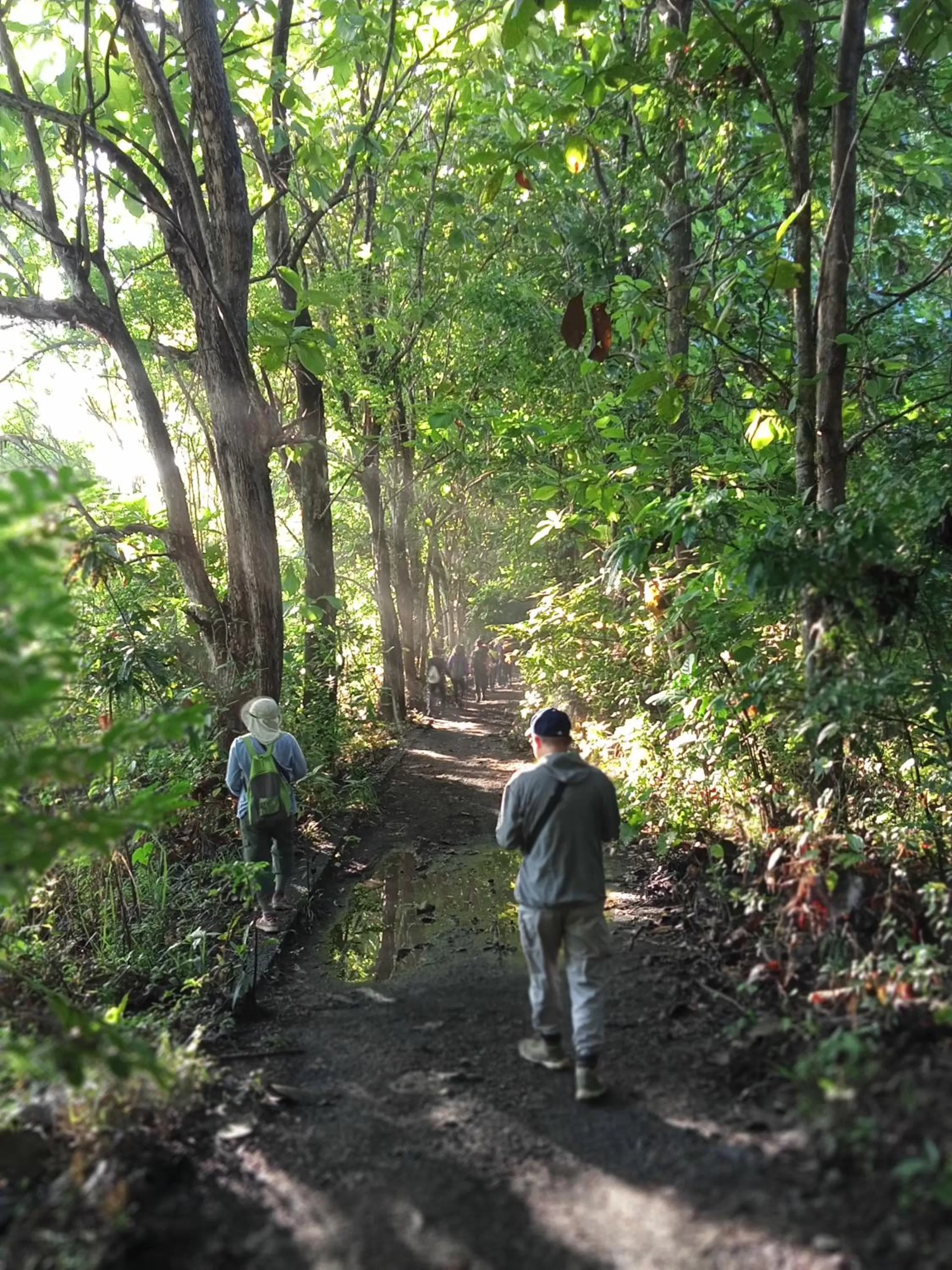 Activities in Tangkoko Lodge