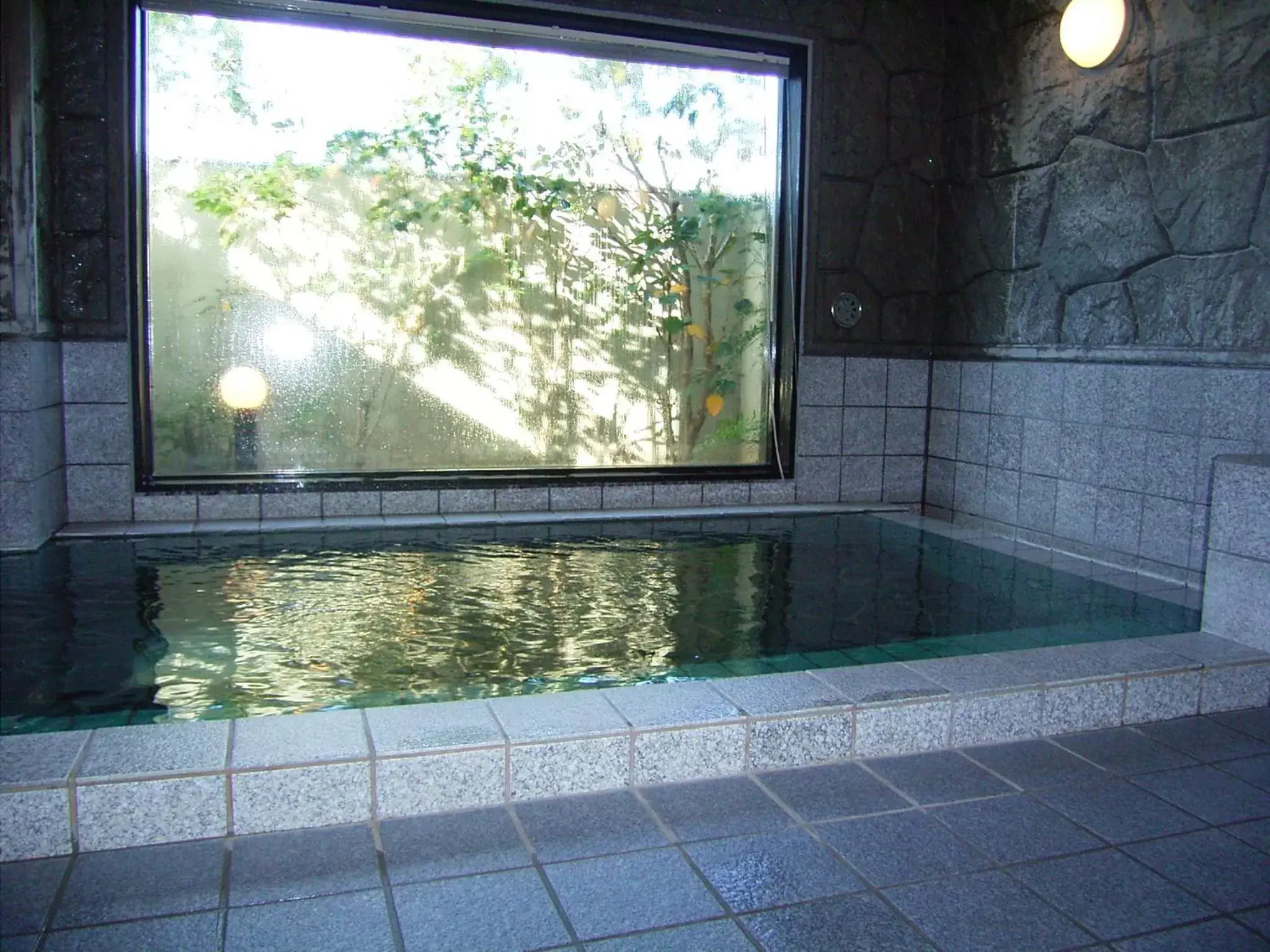 Public Bath, Swimming Pool in Hotel Route-Inn Nakano
