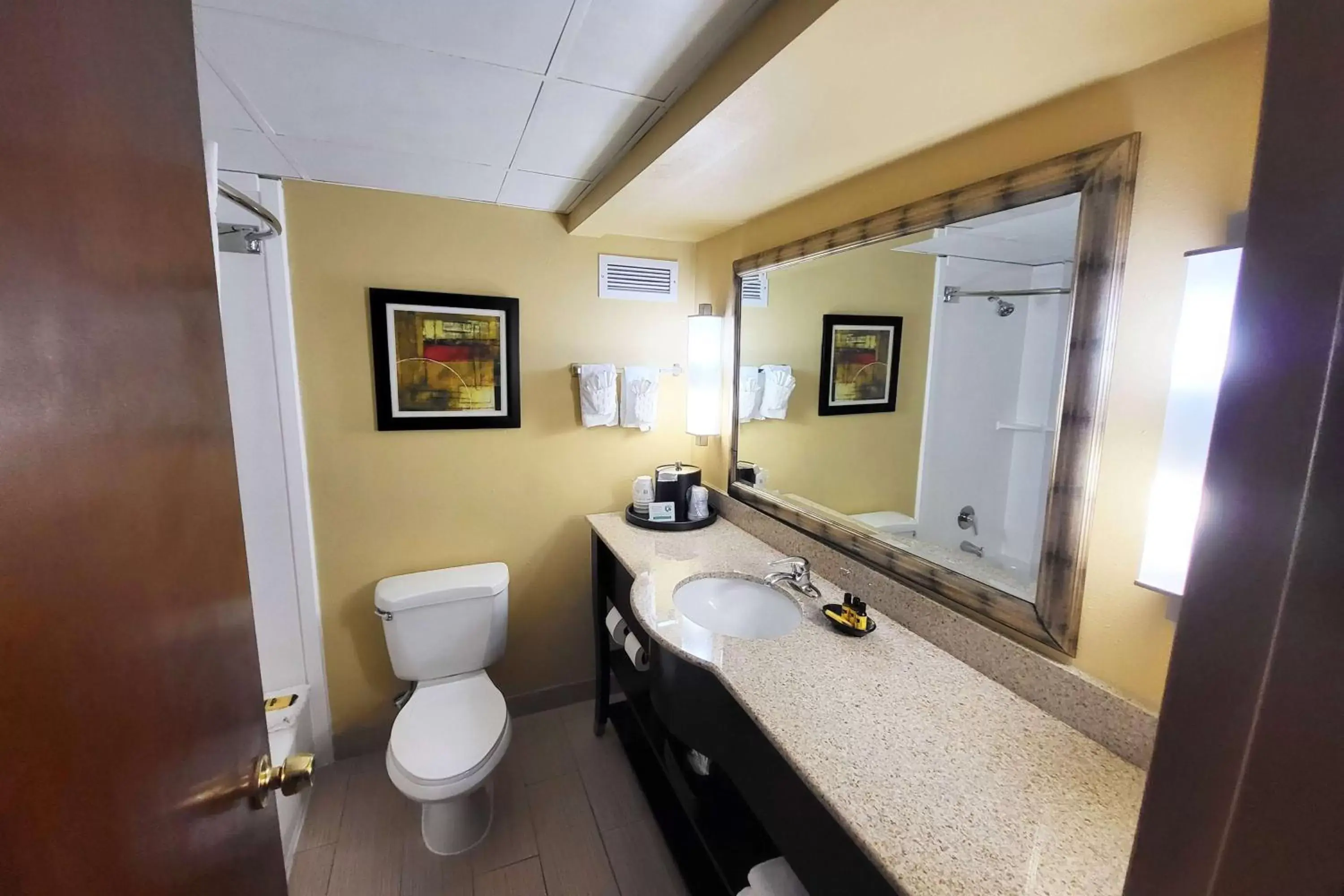 TV and multimedia, Bathroom in Wingate by Wyndham Greensboro-Coliseum