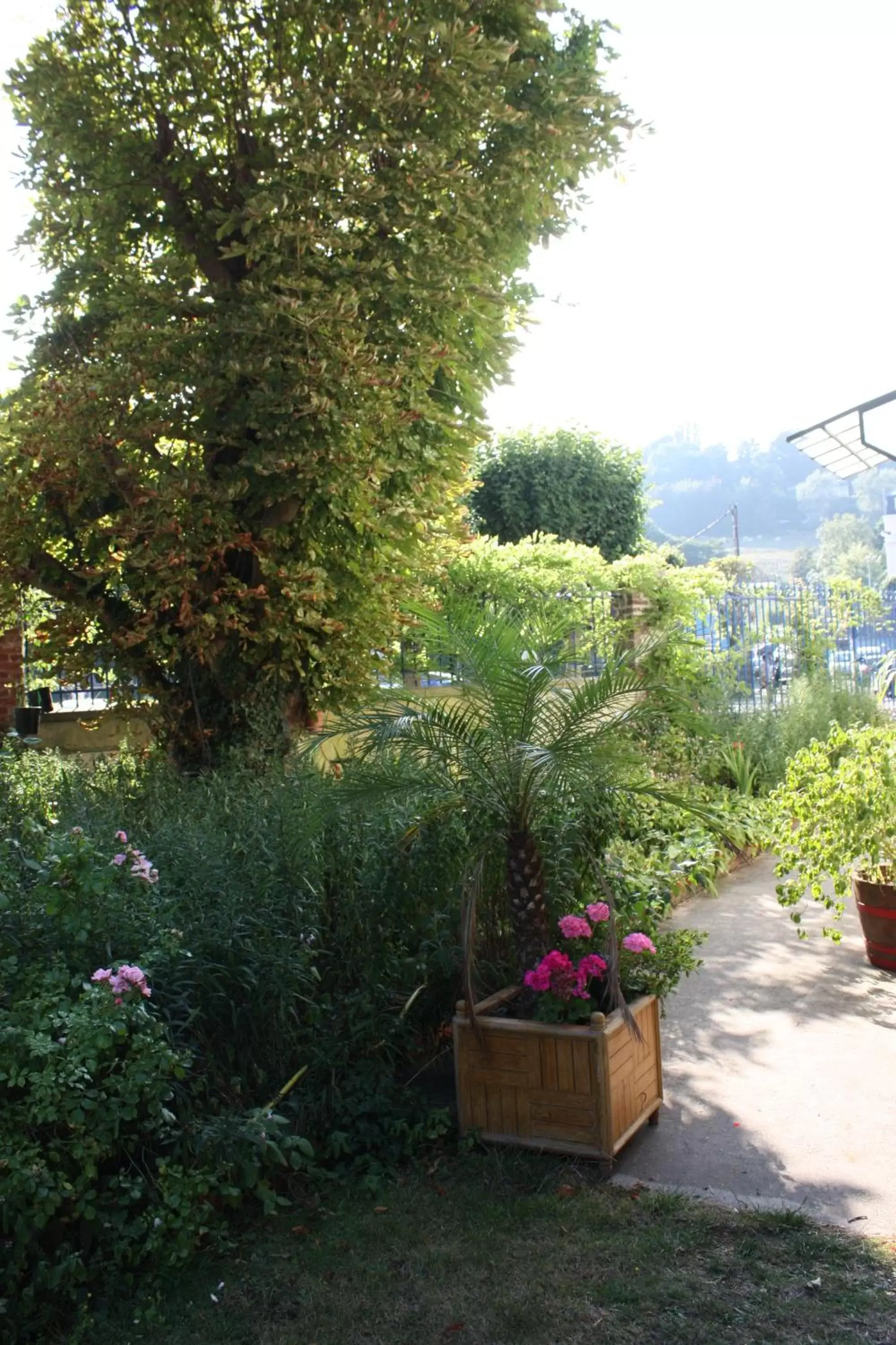 Garden in Hotel La Diligence
