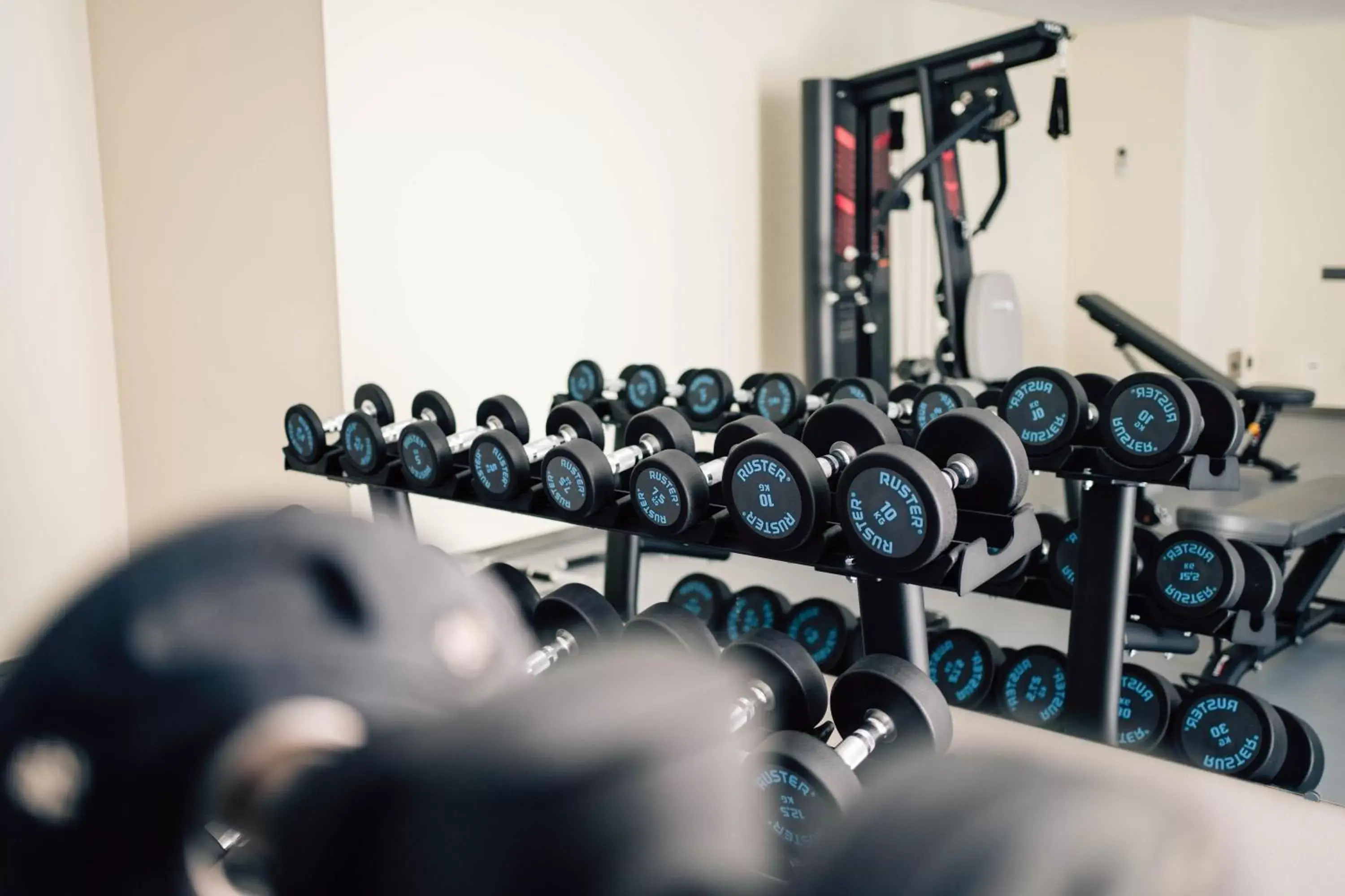 Fitness centre/facilities, Fitness Center/Facilities in Hotel Puerto Sherry