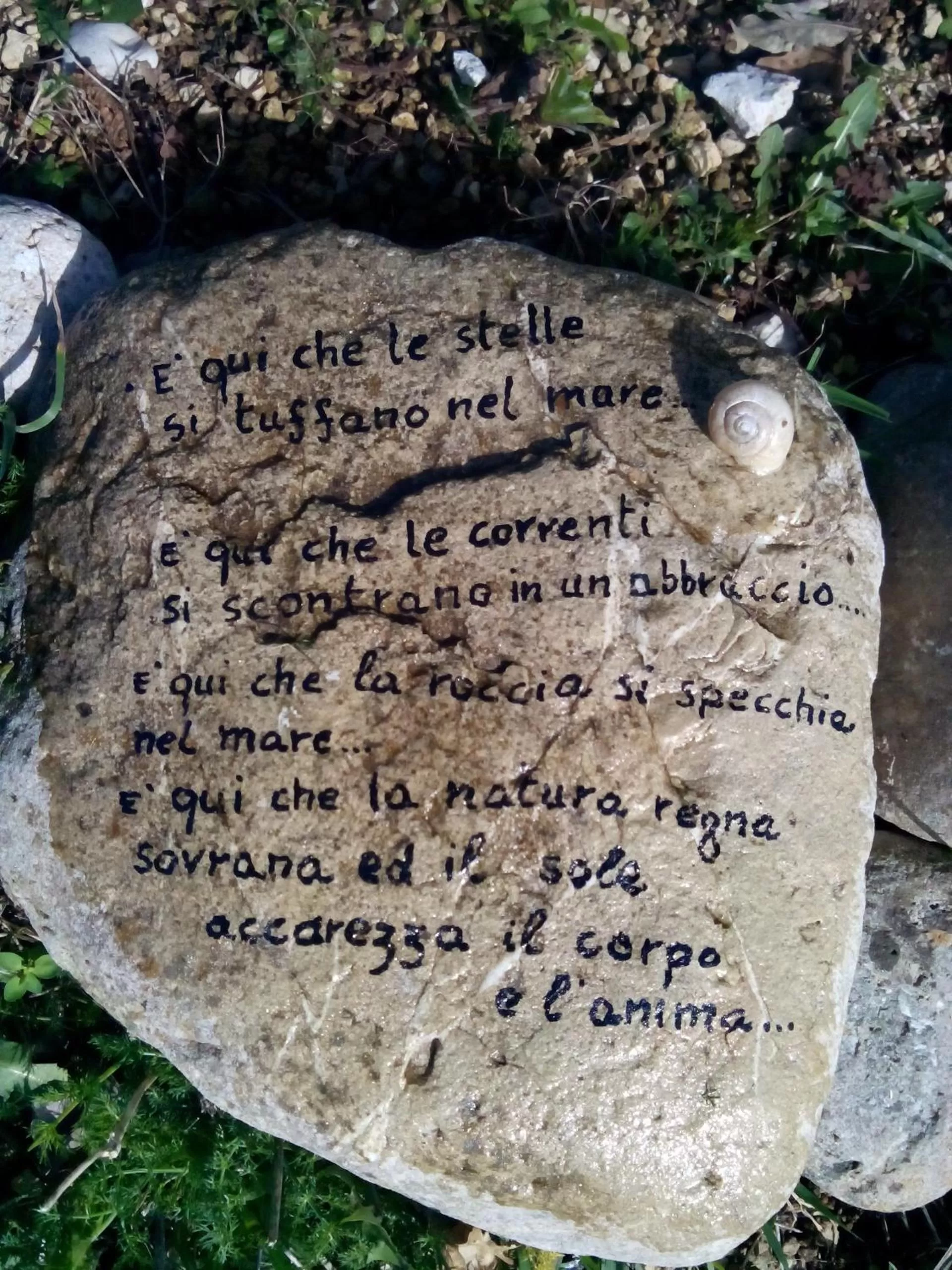 Natural landscape in La Cicogna