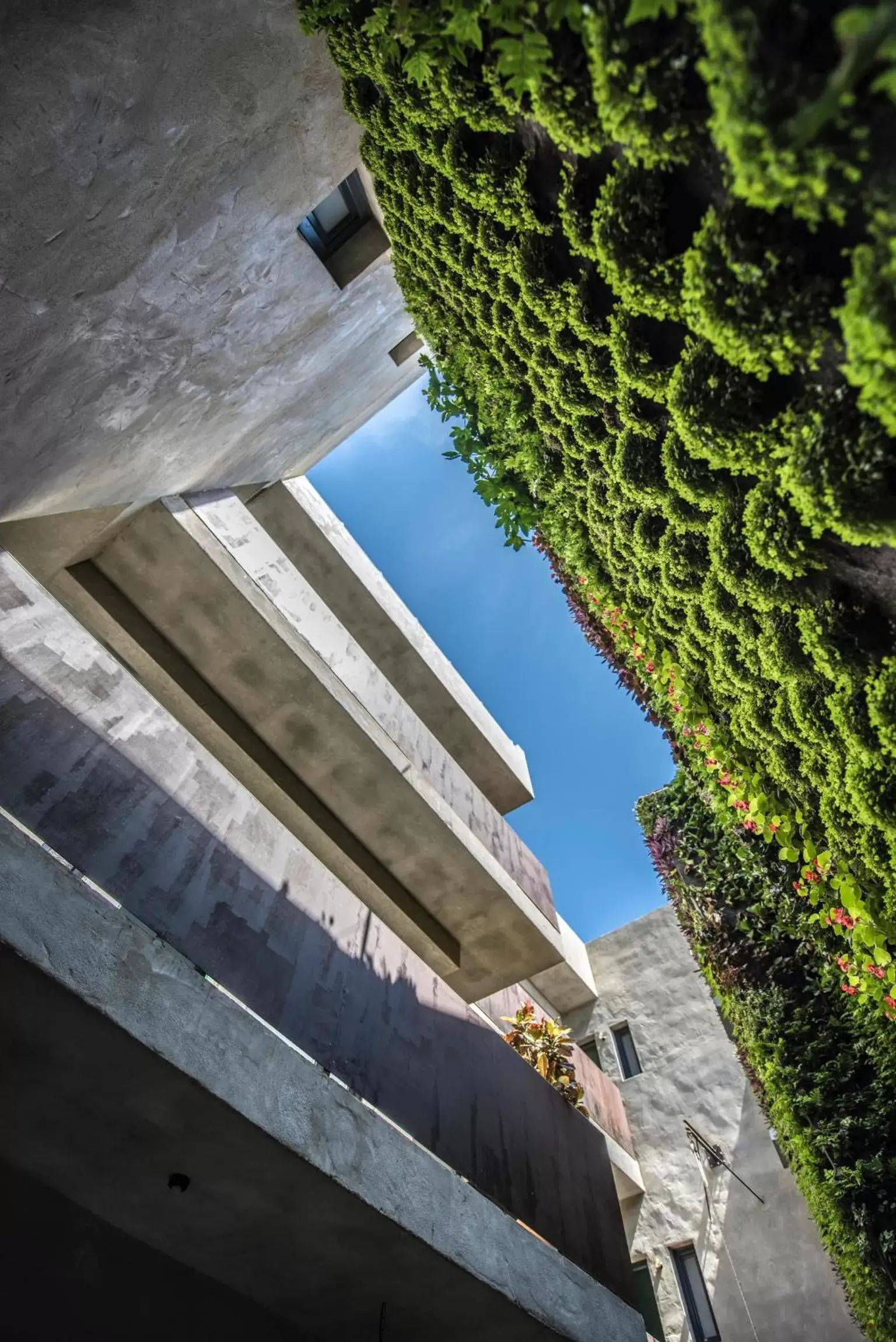 Garden in Kook Hotel Tarifa