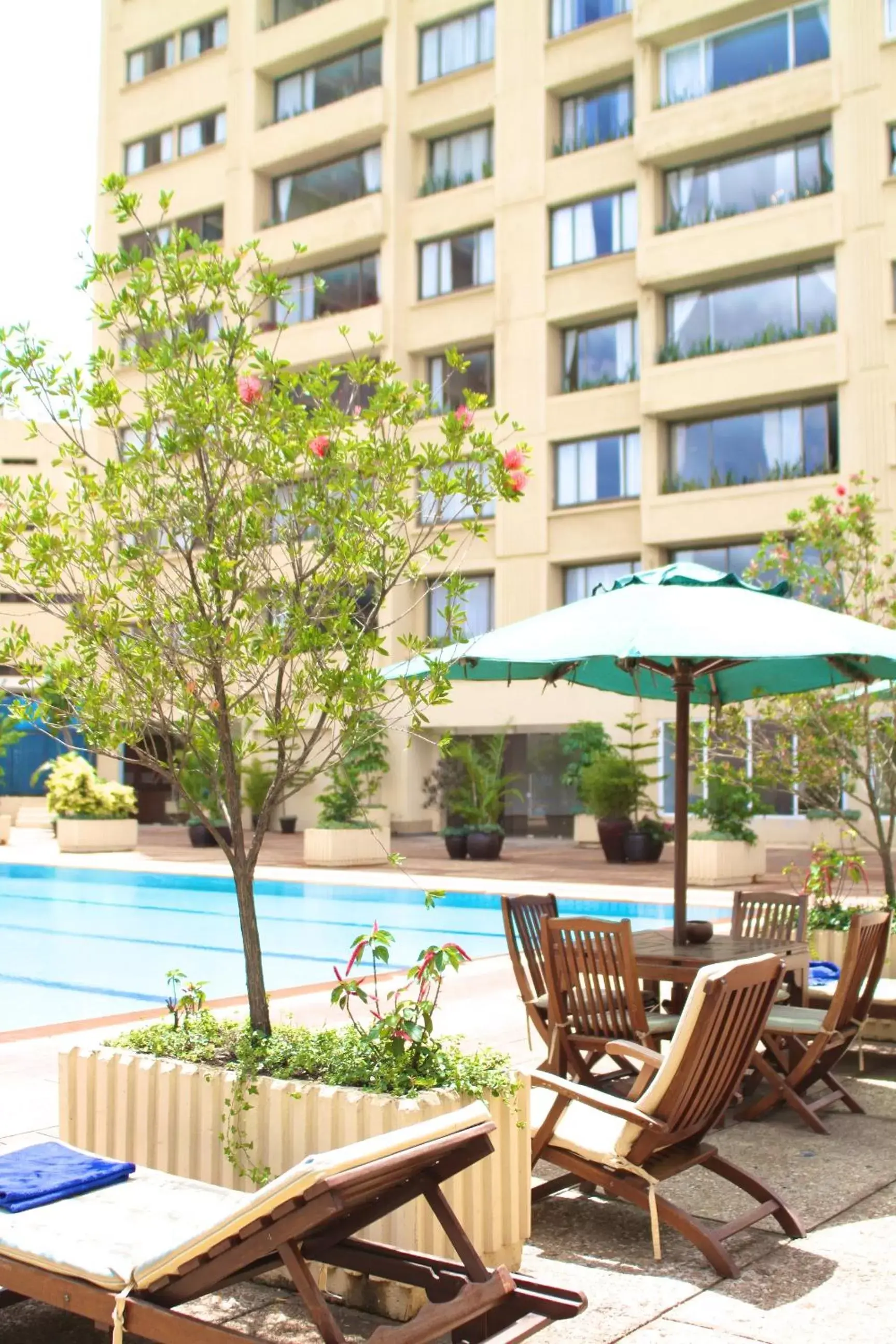 Swimming Pool in Yaya Hotel & Apartments