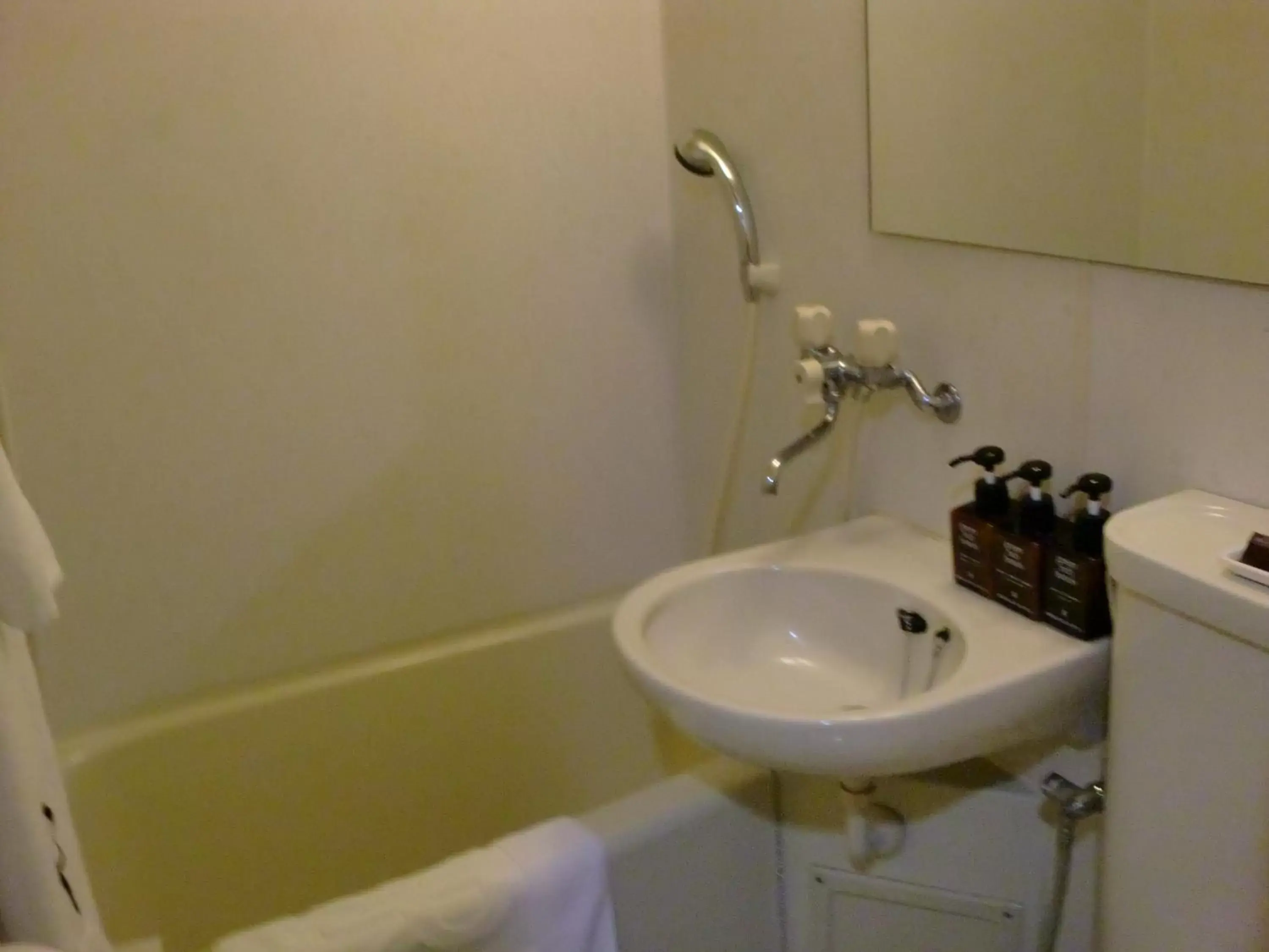 Bathroom in Green Rich Hotel Suizenji