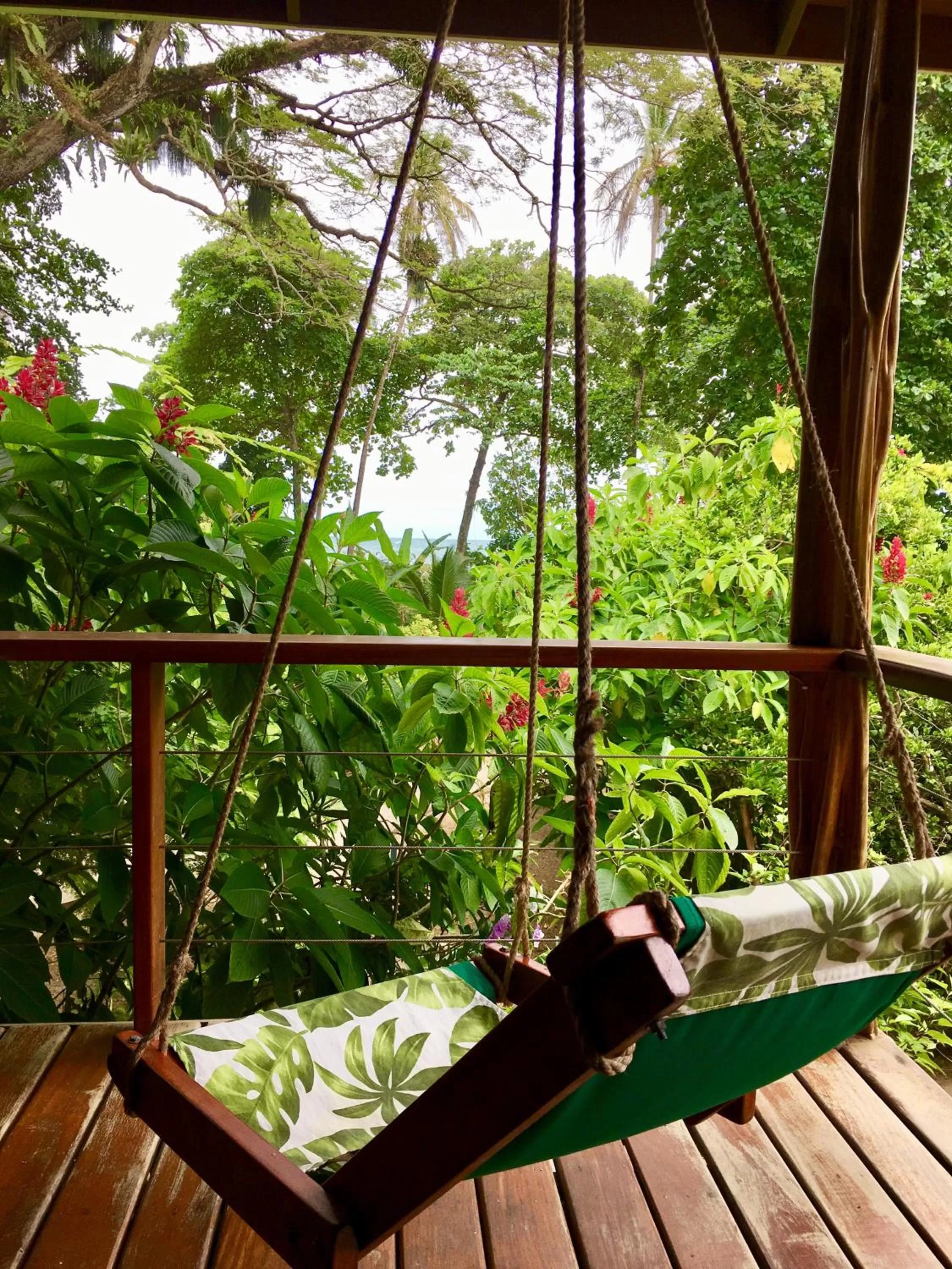 Garden in The Hummingbird