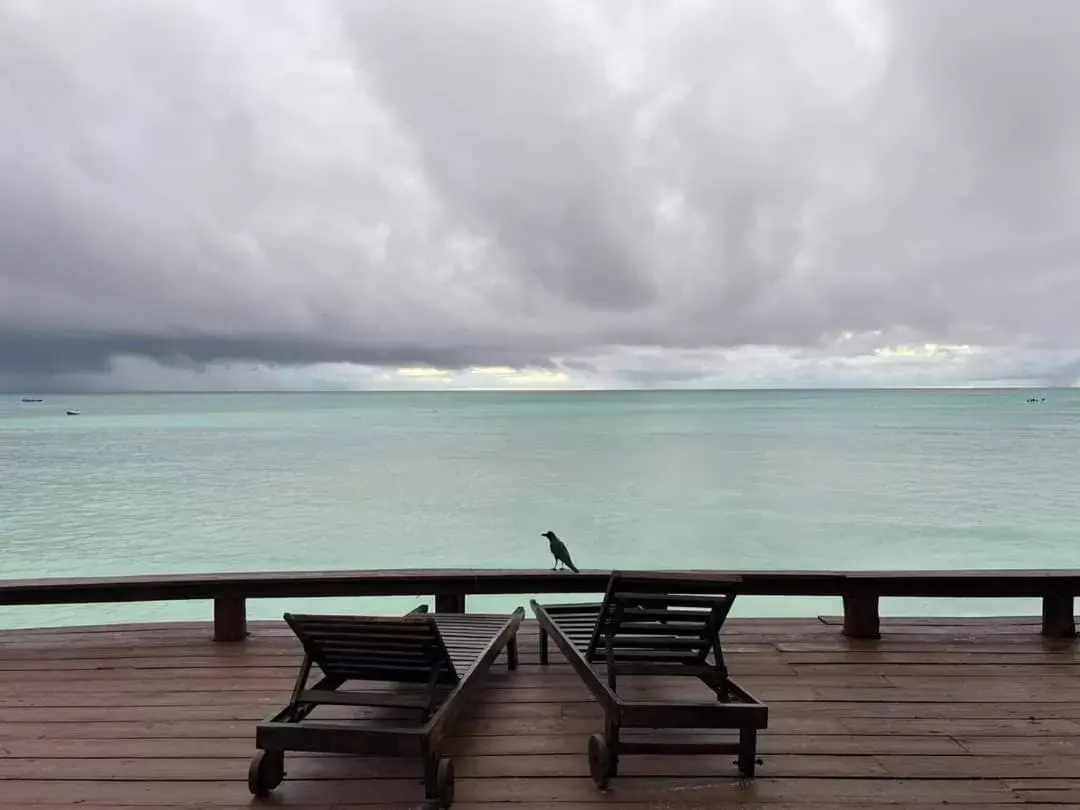 Sea view in Mnarani Beach Cottages