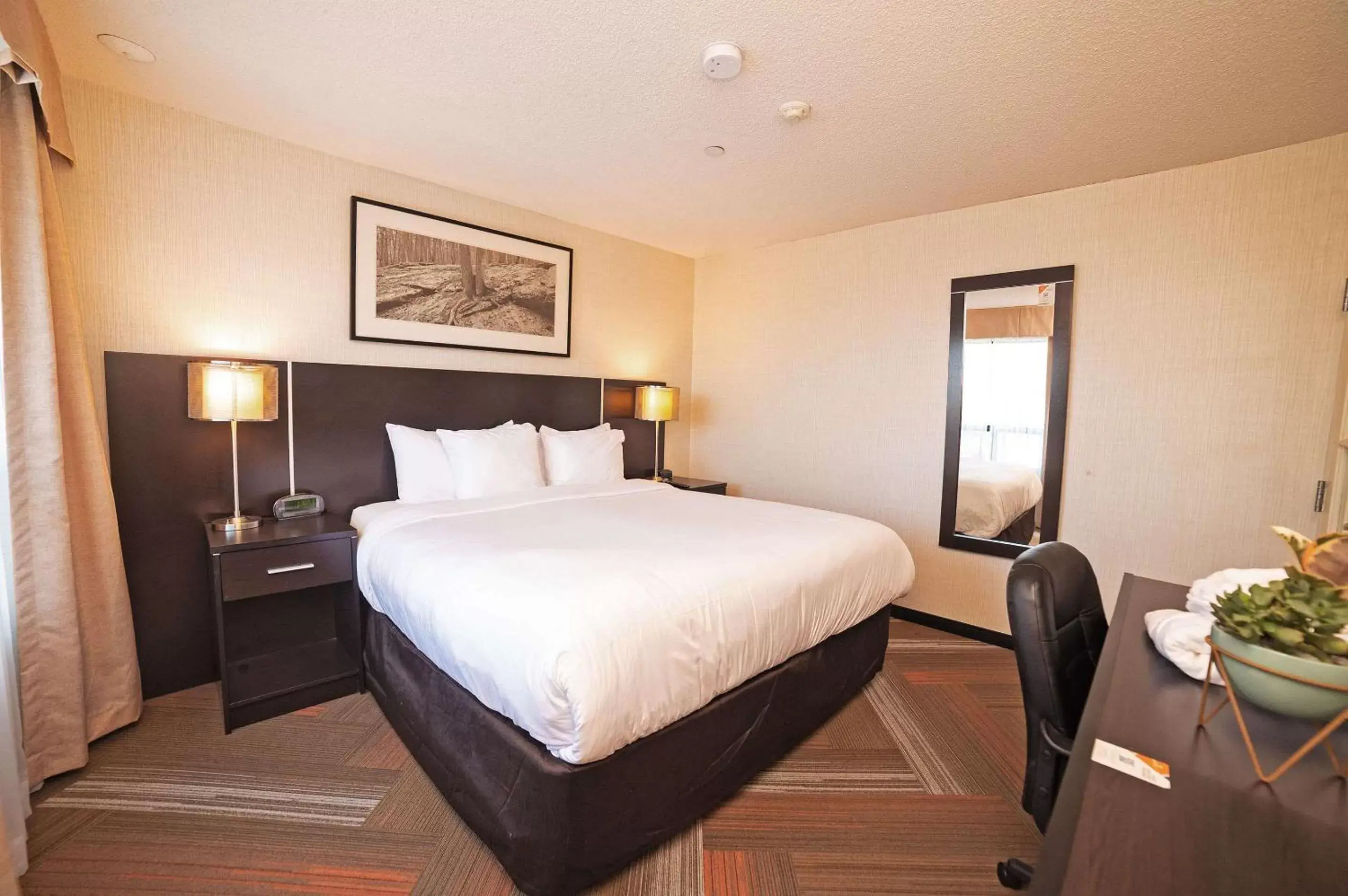 Bedroom, Bed in Quality Hotel Burlington