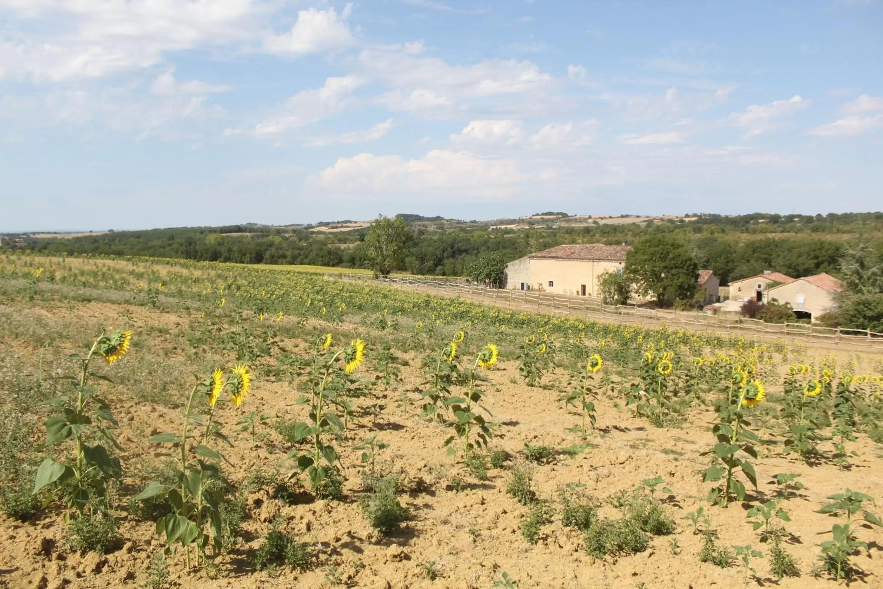 Domaine de la Couderquié