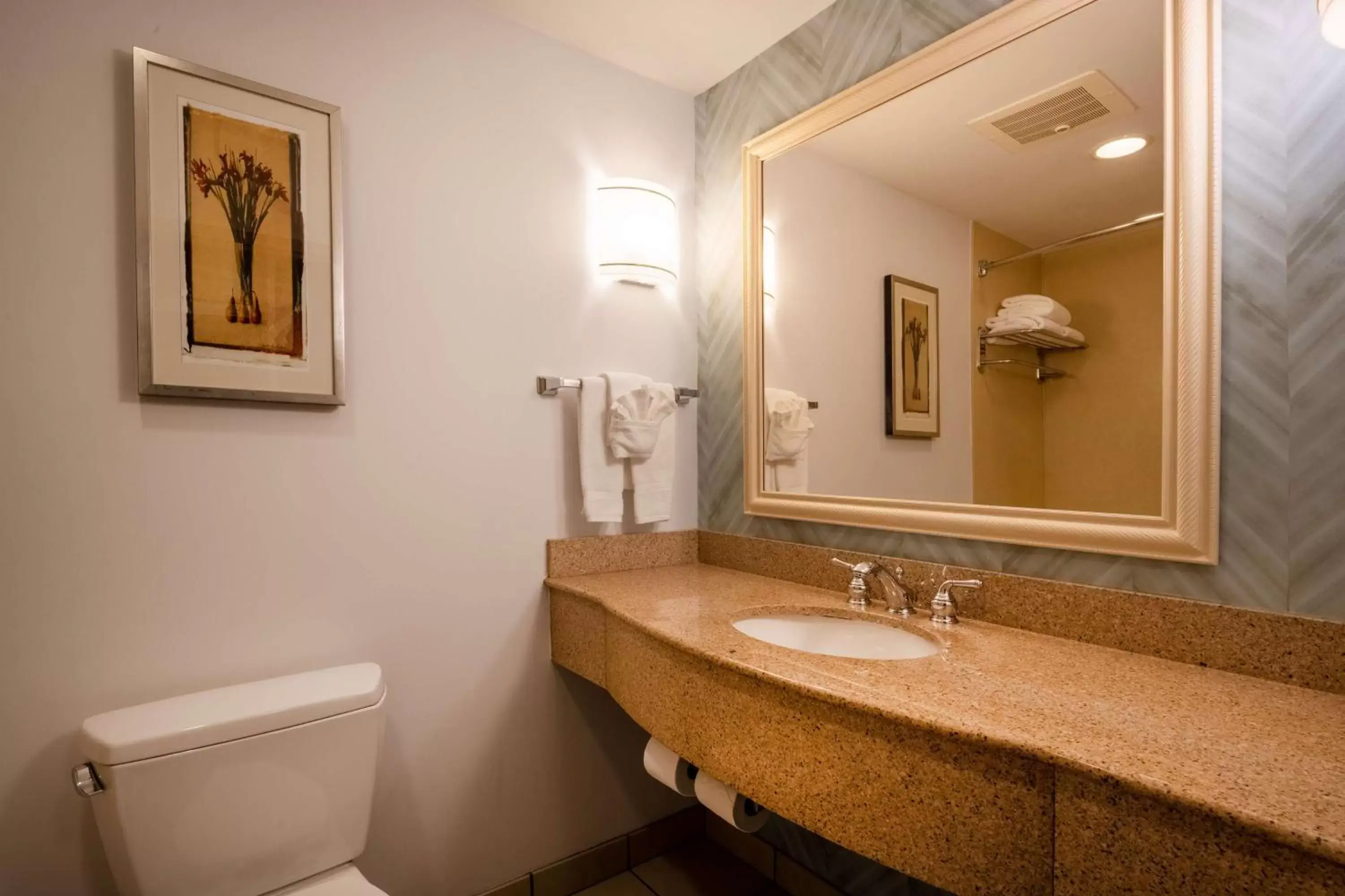Bathroom in Hilton Garden Inn Mystic/Groton