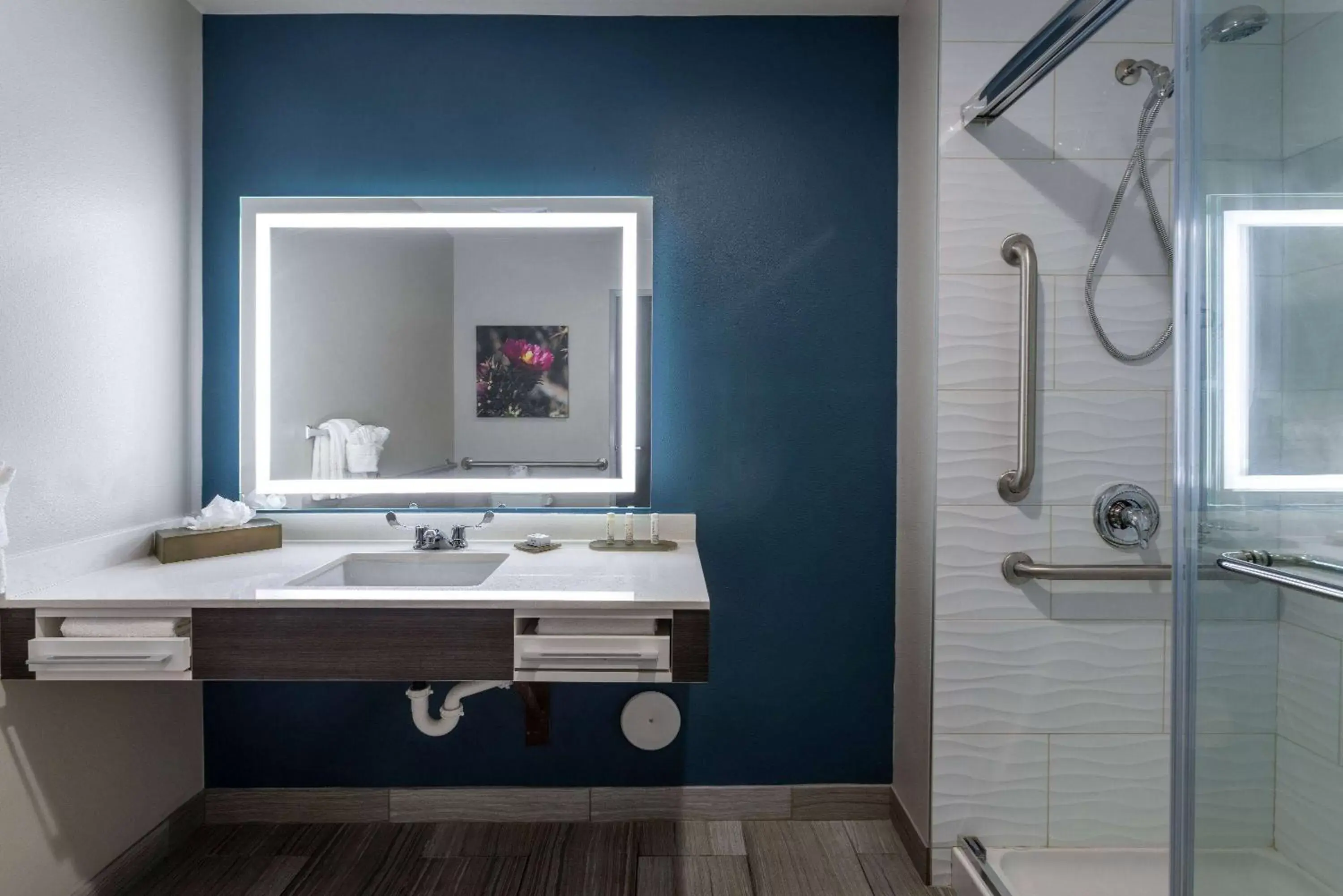 Bathroom in La Quinta Inn & Suites by Wyndham Holbrook Petrified Forest