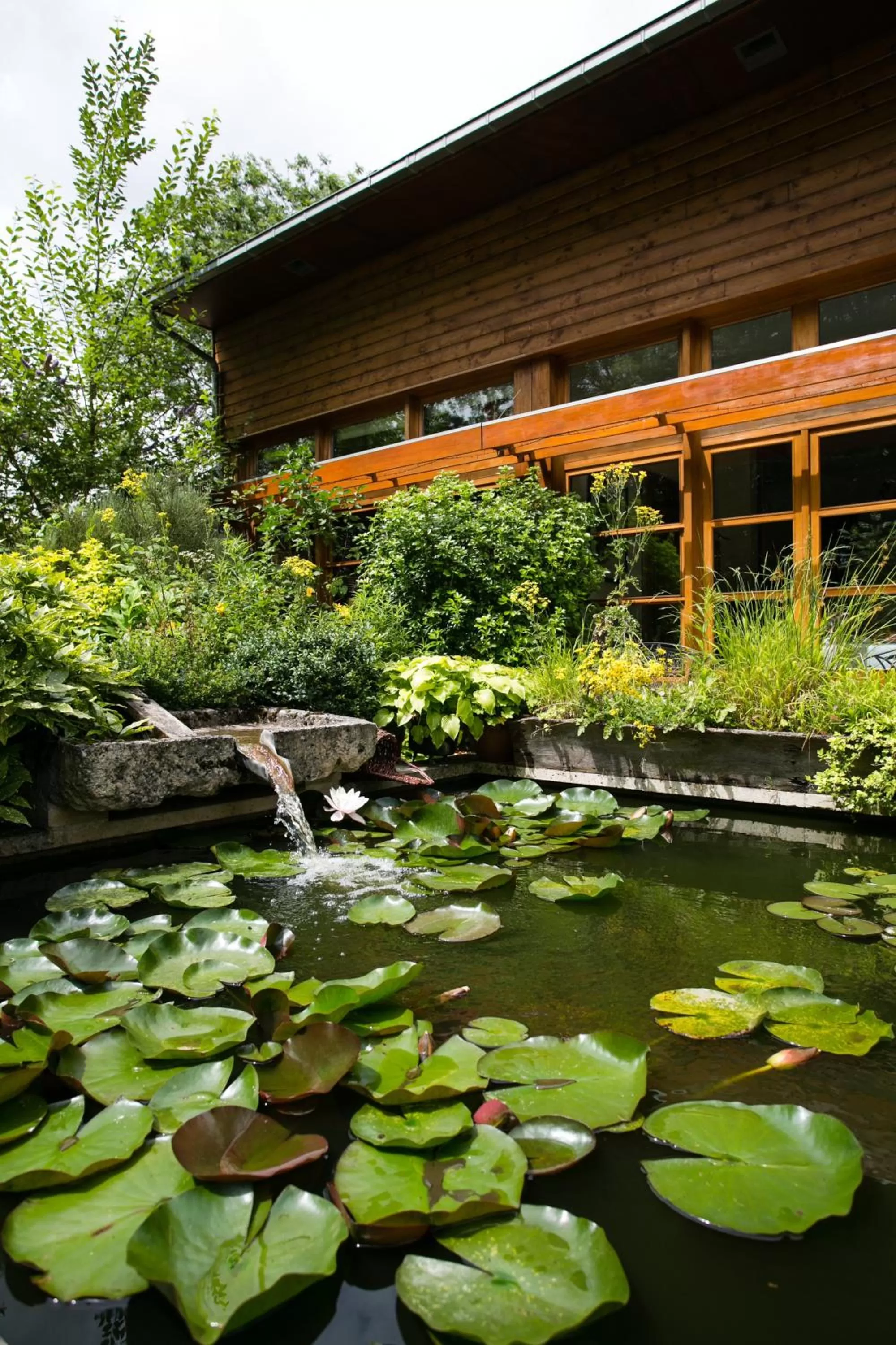 Property Building in Le Clos Chedeville