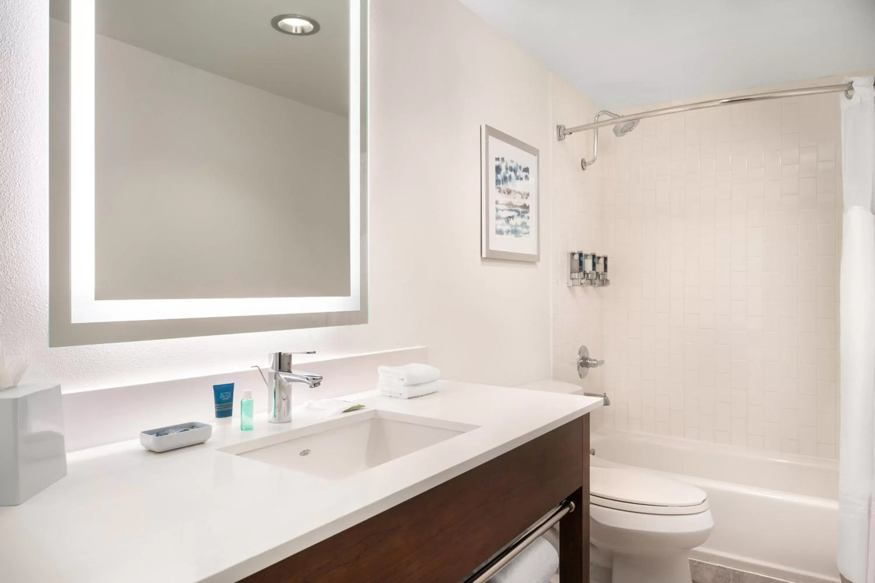 Bathroom in Four Points by Sheraton - San Francisco Airport