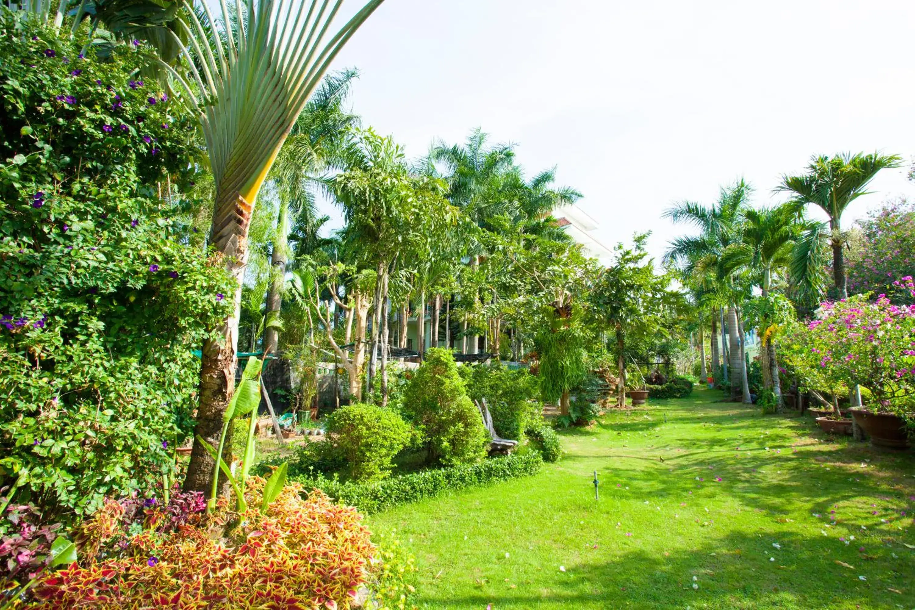 Garden in HAWAII RESORT PHU QUOC