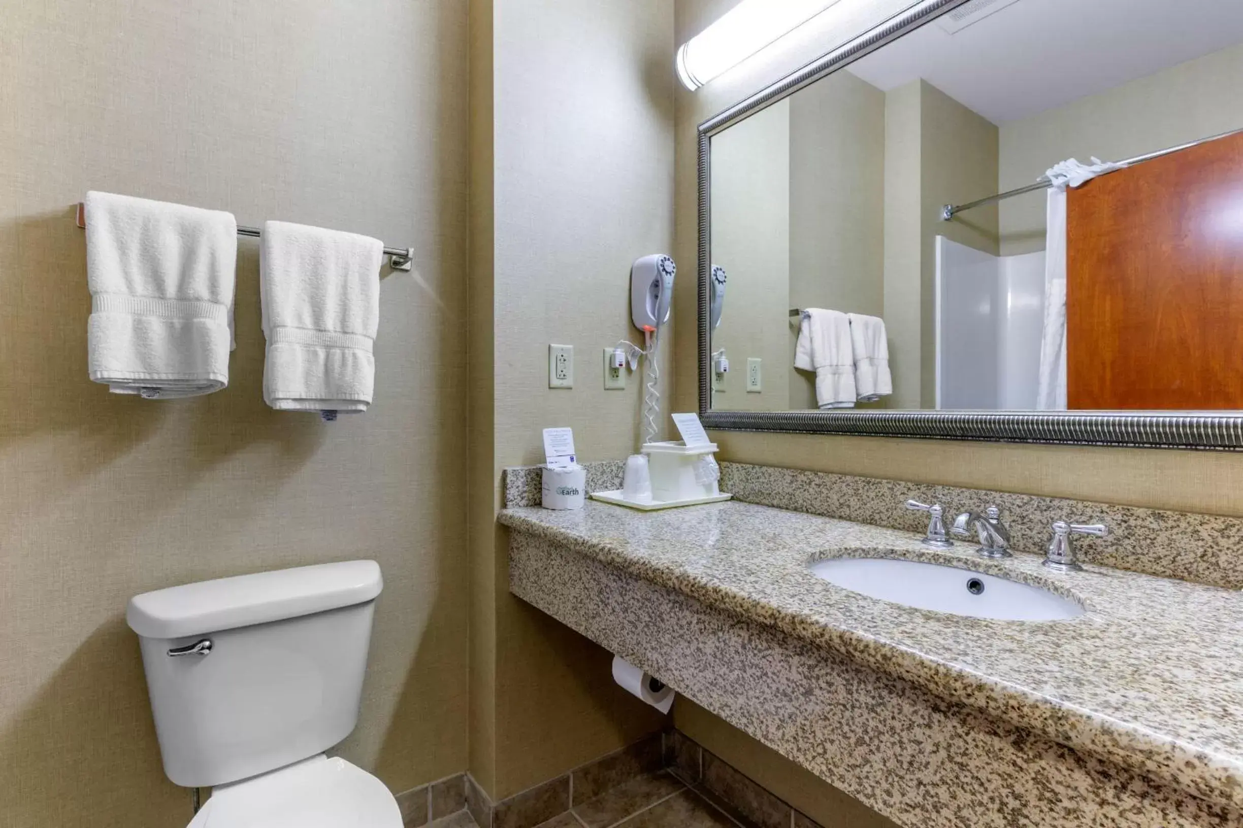 Bathroom in Comfort Inn Powell - Knoxville North