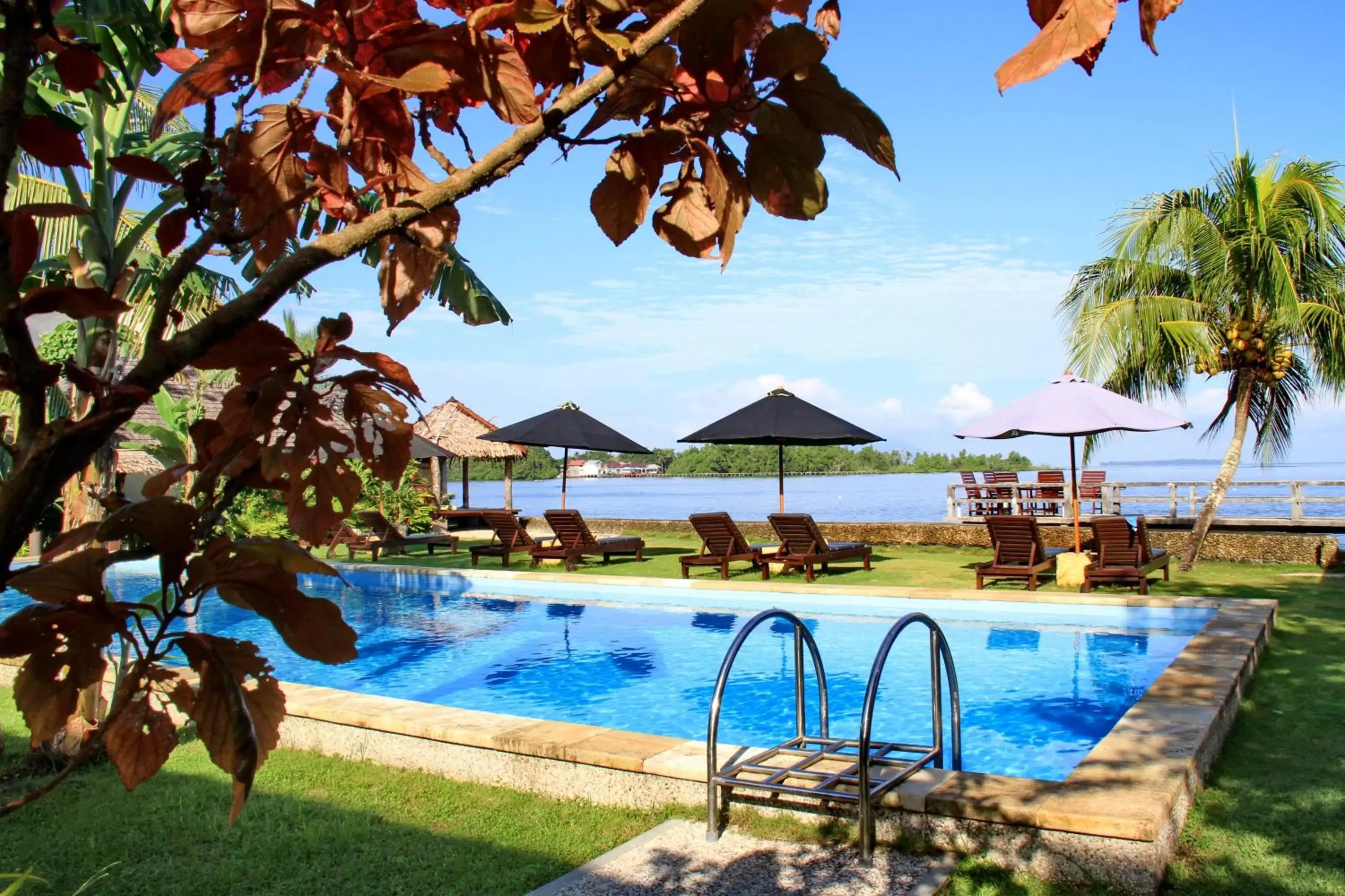 Pool view, Swimming Pool in Cocotinos Manado