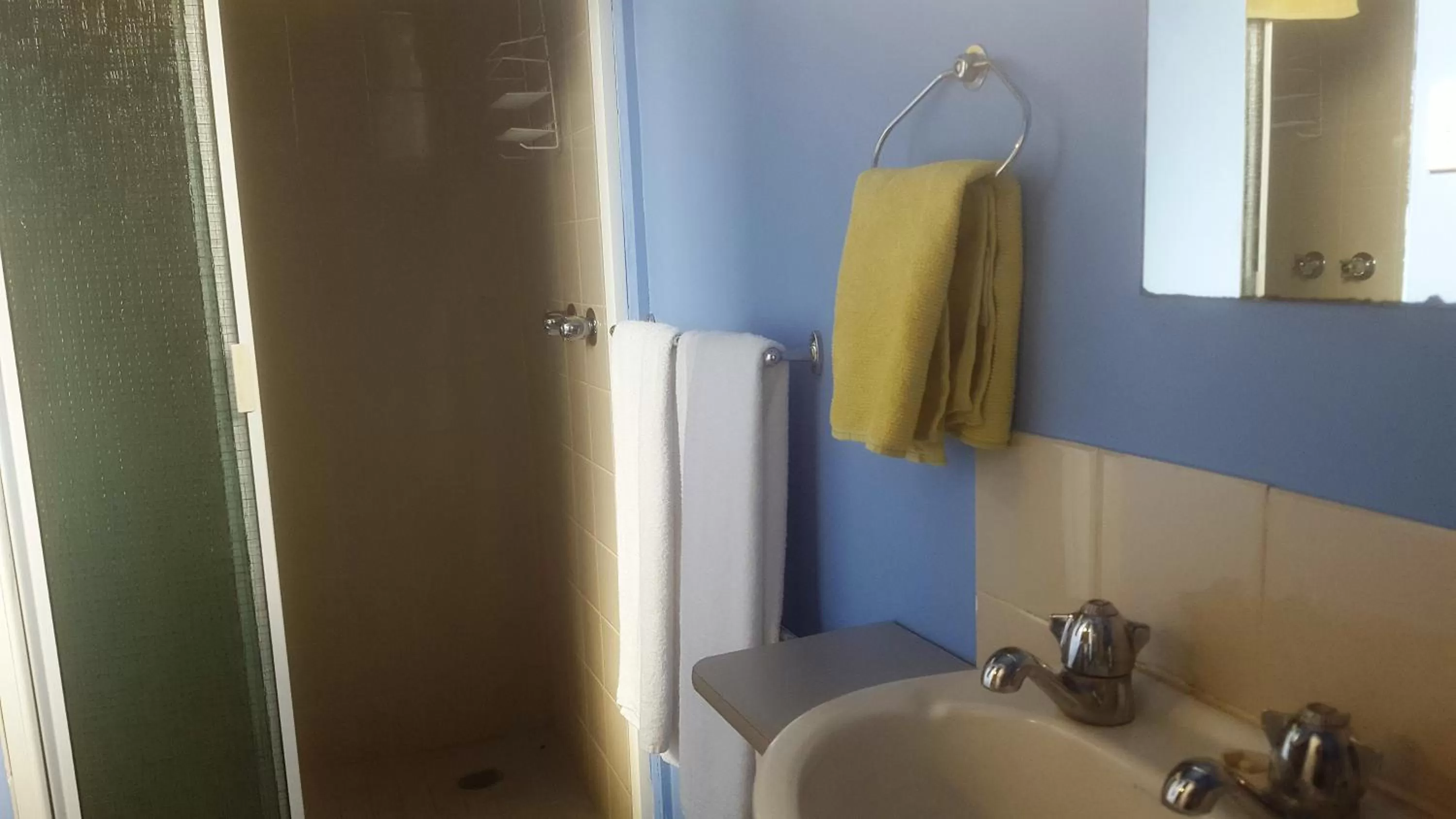 Shower in Clunes Motel