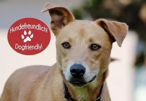 Pets in Landhotel Gutshof im Oertzetal in Oldendorf, Südheide