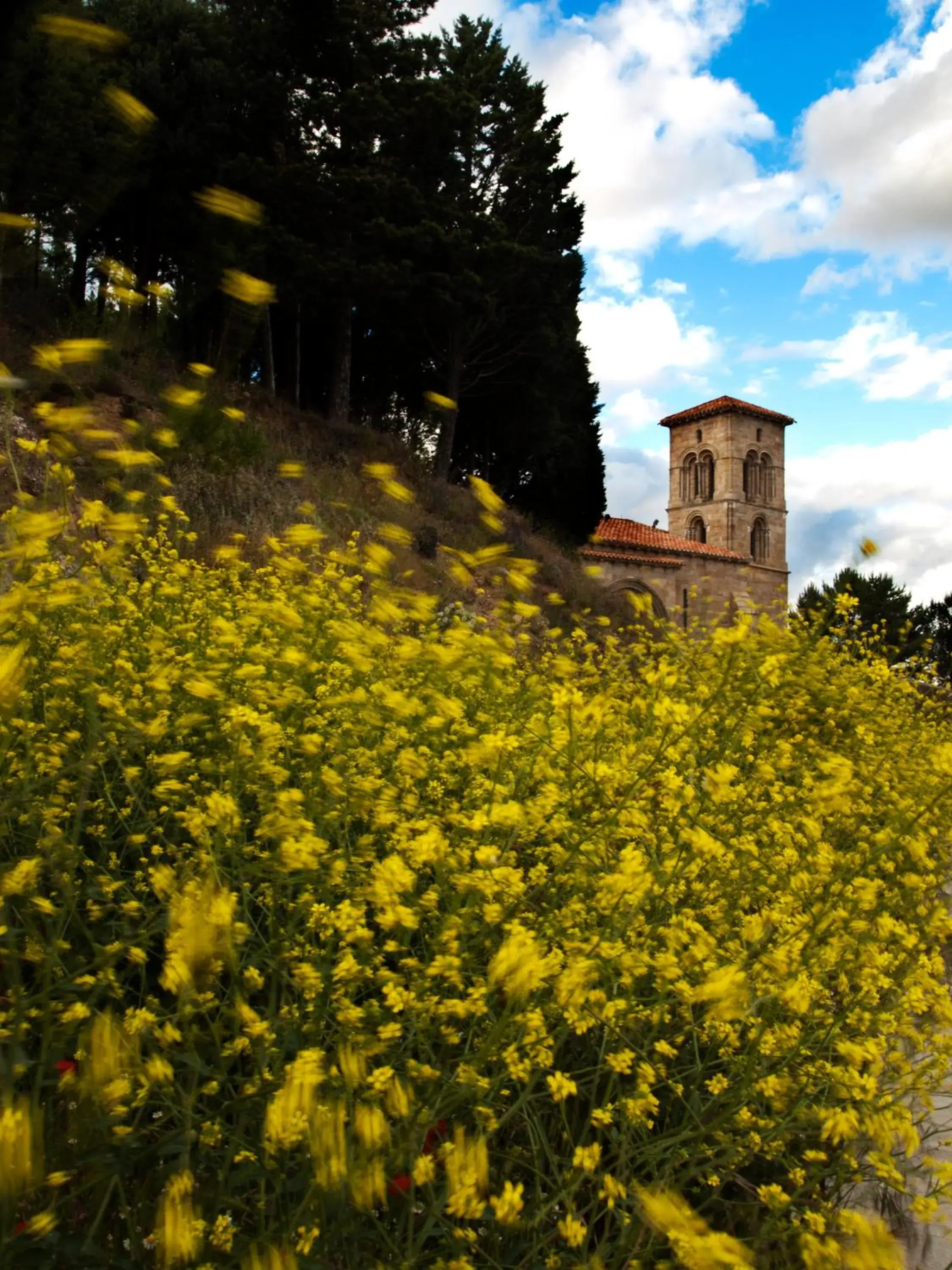 Natural landscape, Property Building in Hotel Posada Santa Maria la Real