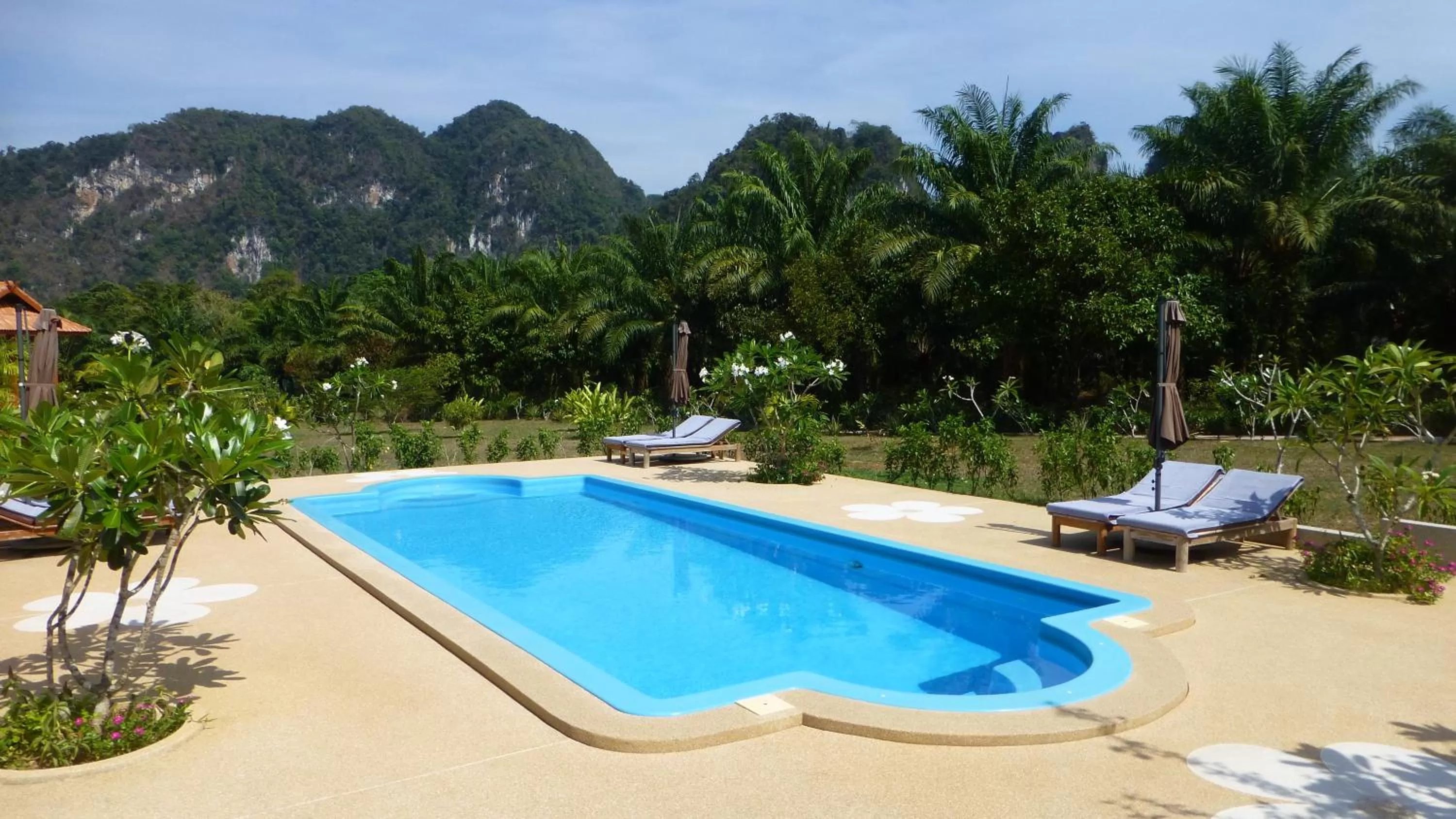 Swimming pool in Khao Sok Jasmine Garden Resort - SHA Certified
