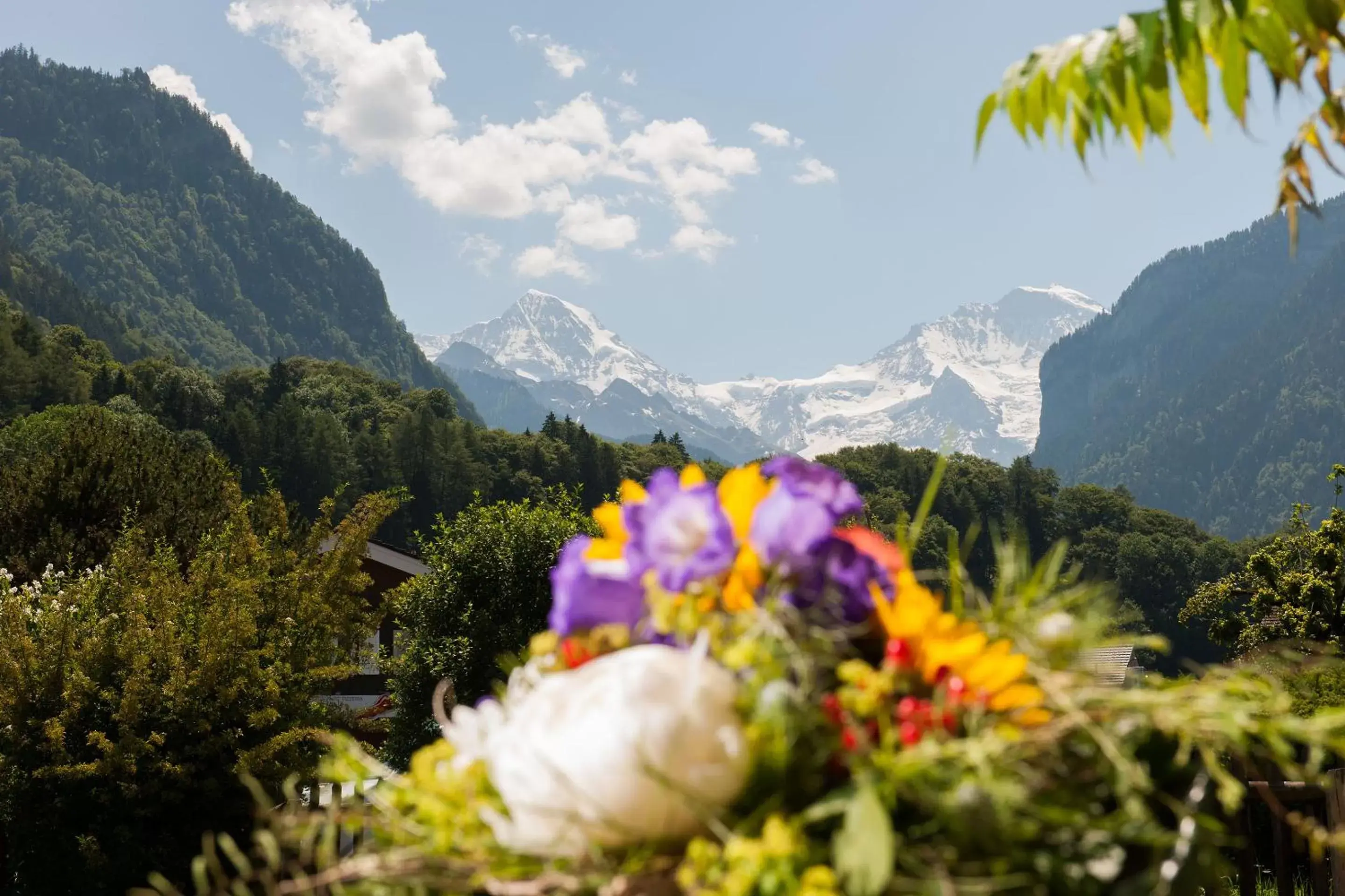 Nearby landmark, Mountain View in Jungfrau Hotel Annex Alpine-Inn