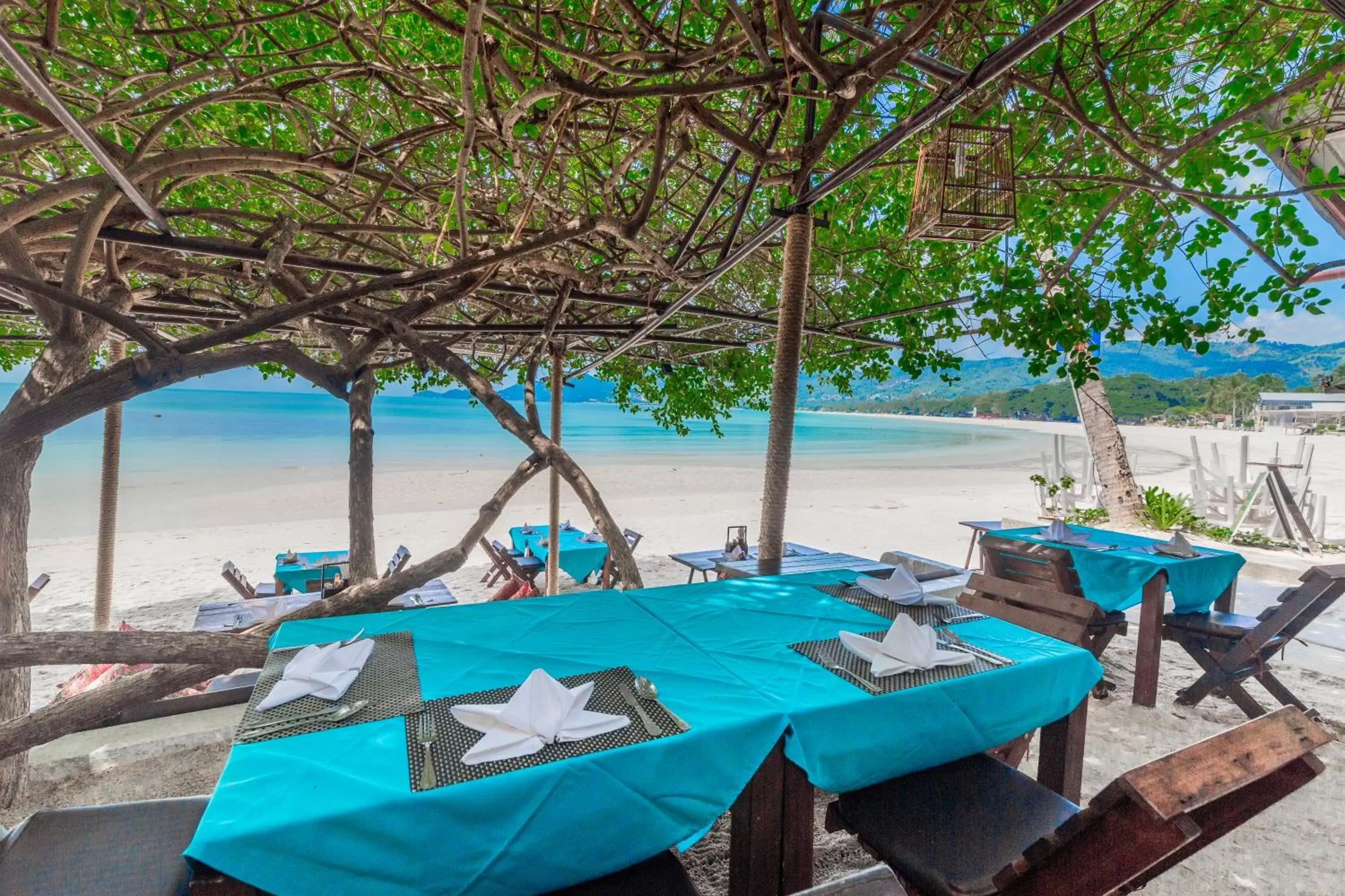 Restaurant/places to eat, Beach in Chaweng Garden Beach Resort - SHA Plus