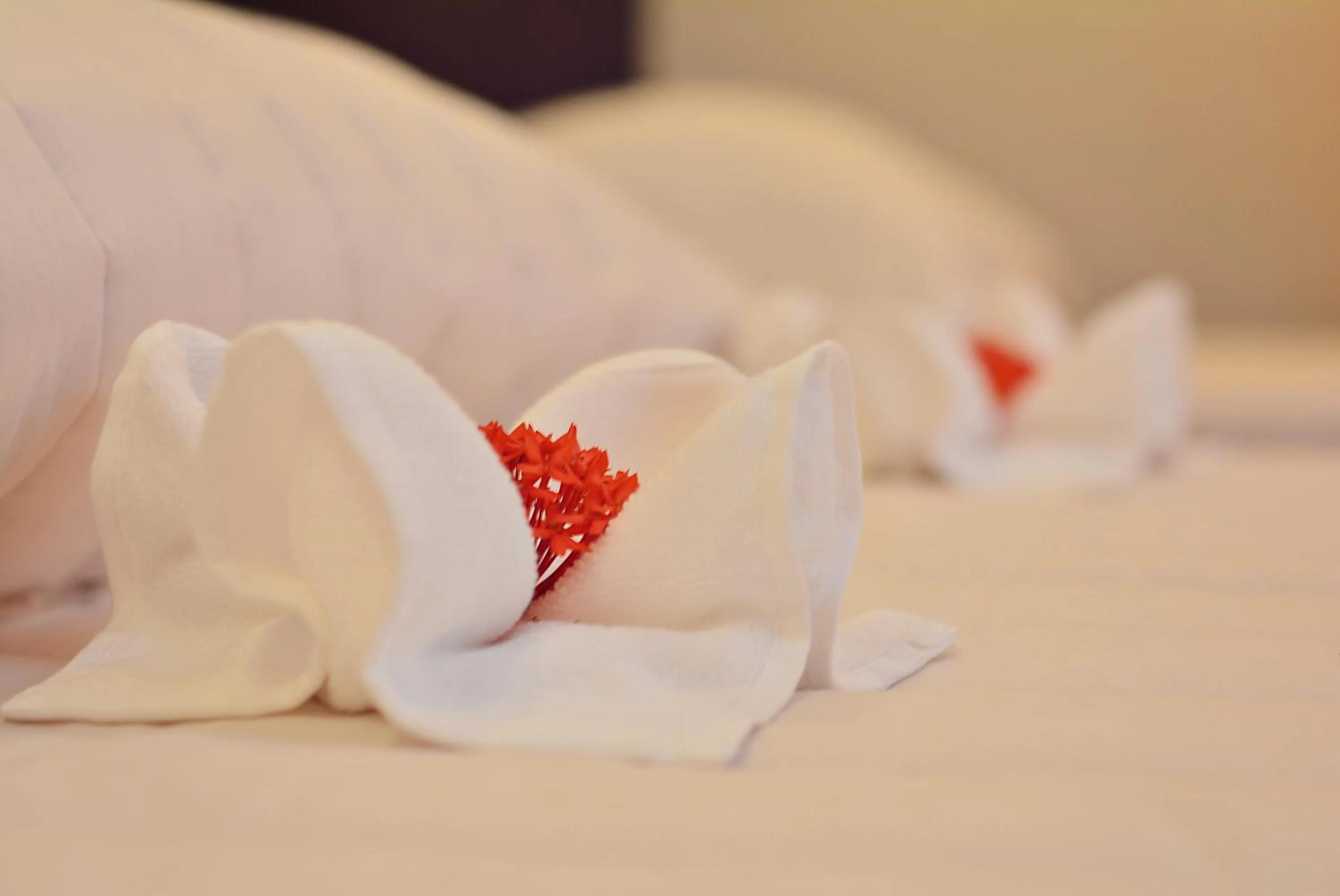 Bed in Citystate Asturias Hotel Palawan